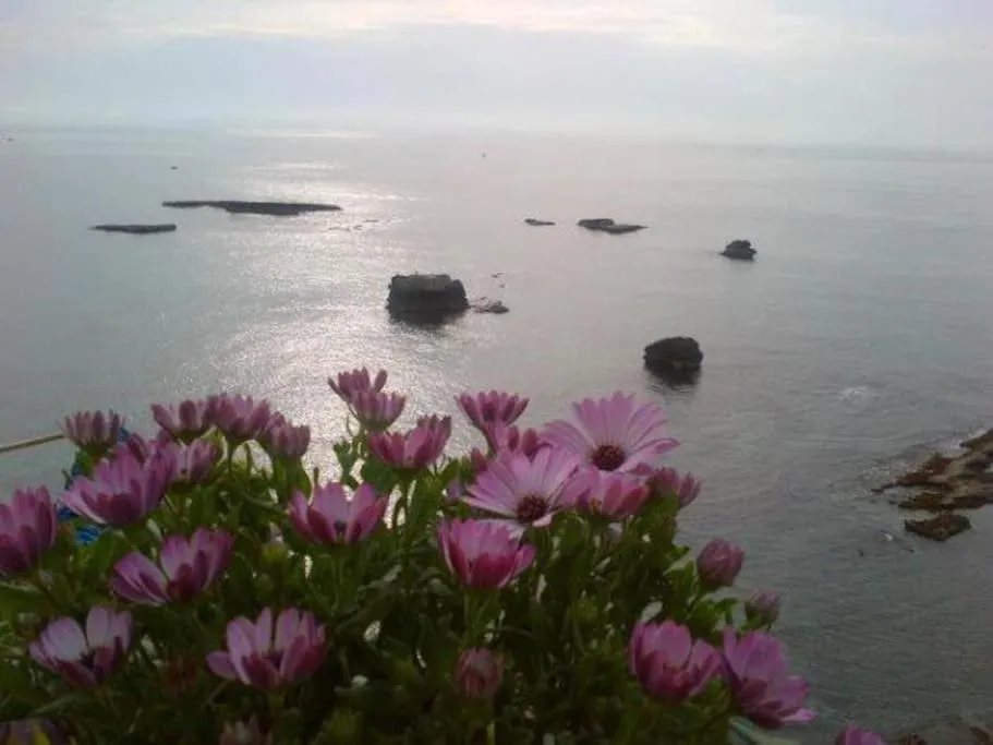 Snorkeling in Riccio di Mare - Large and bright flat on the sea