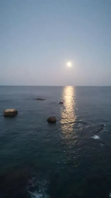 Sea view in Riccio di Mare - Large and bright flat on the sea