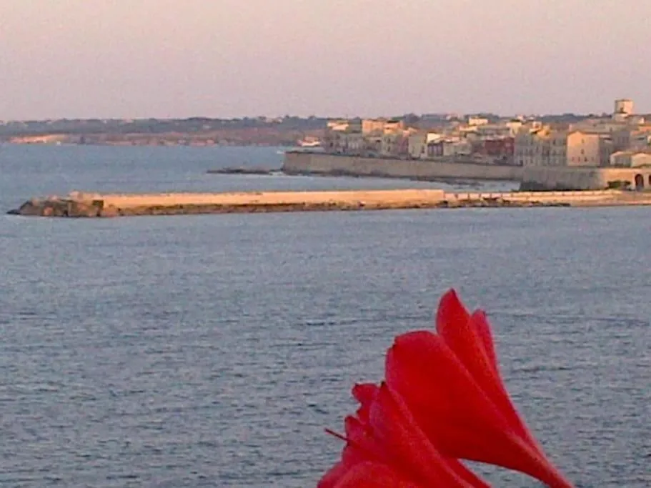 City view in Riccio di Mare - Large and bright flat on the sea