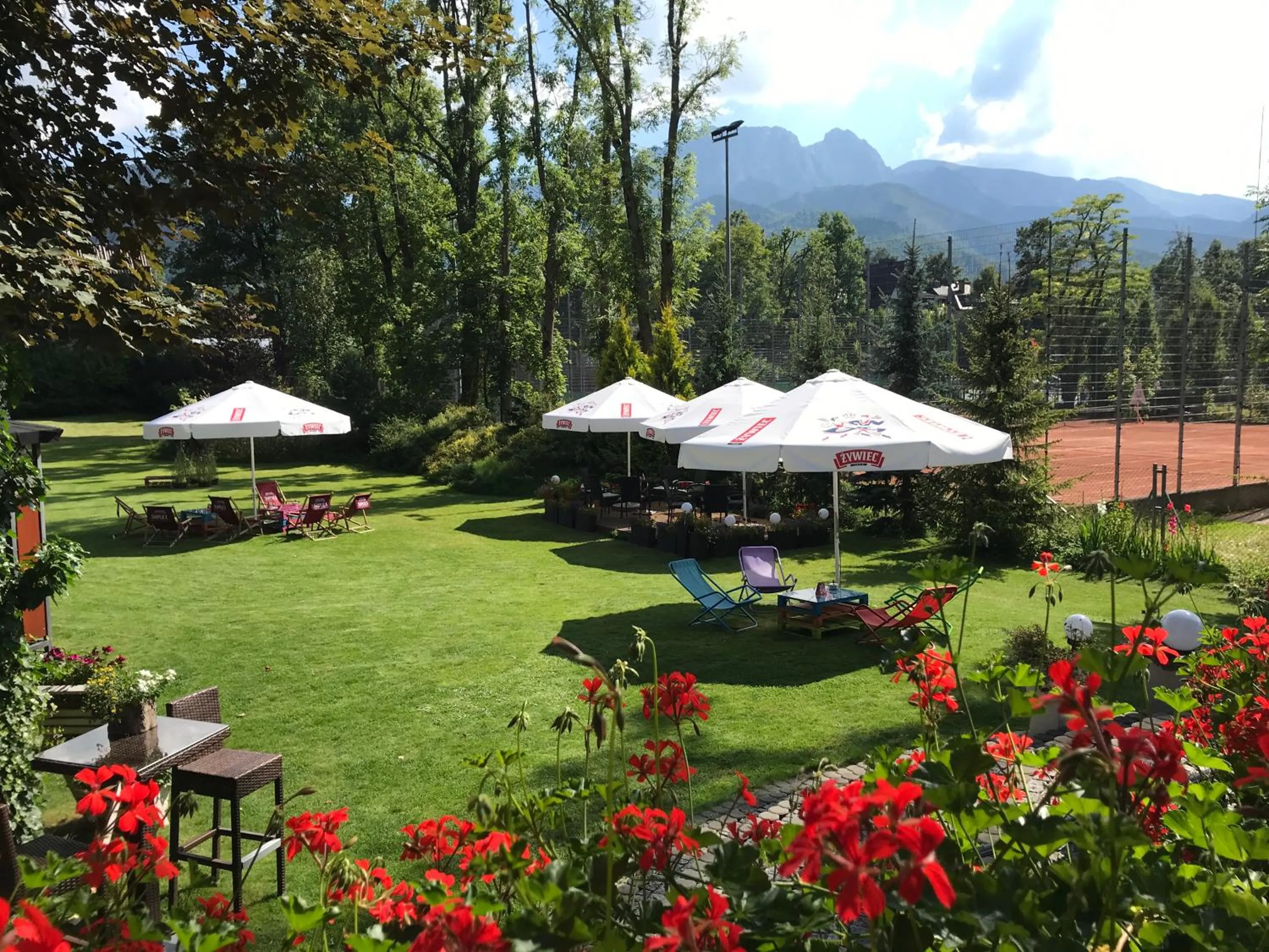 Natural landscape in Willa Kmicic