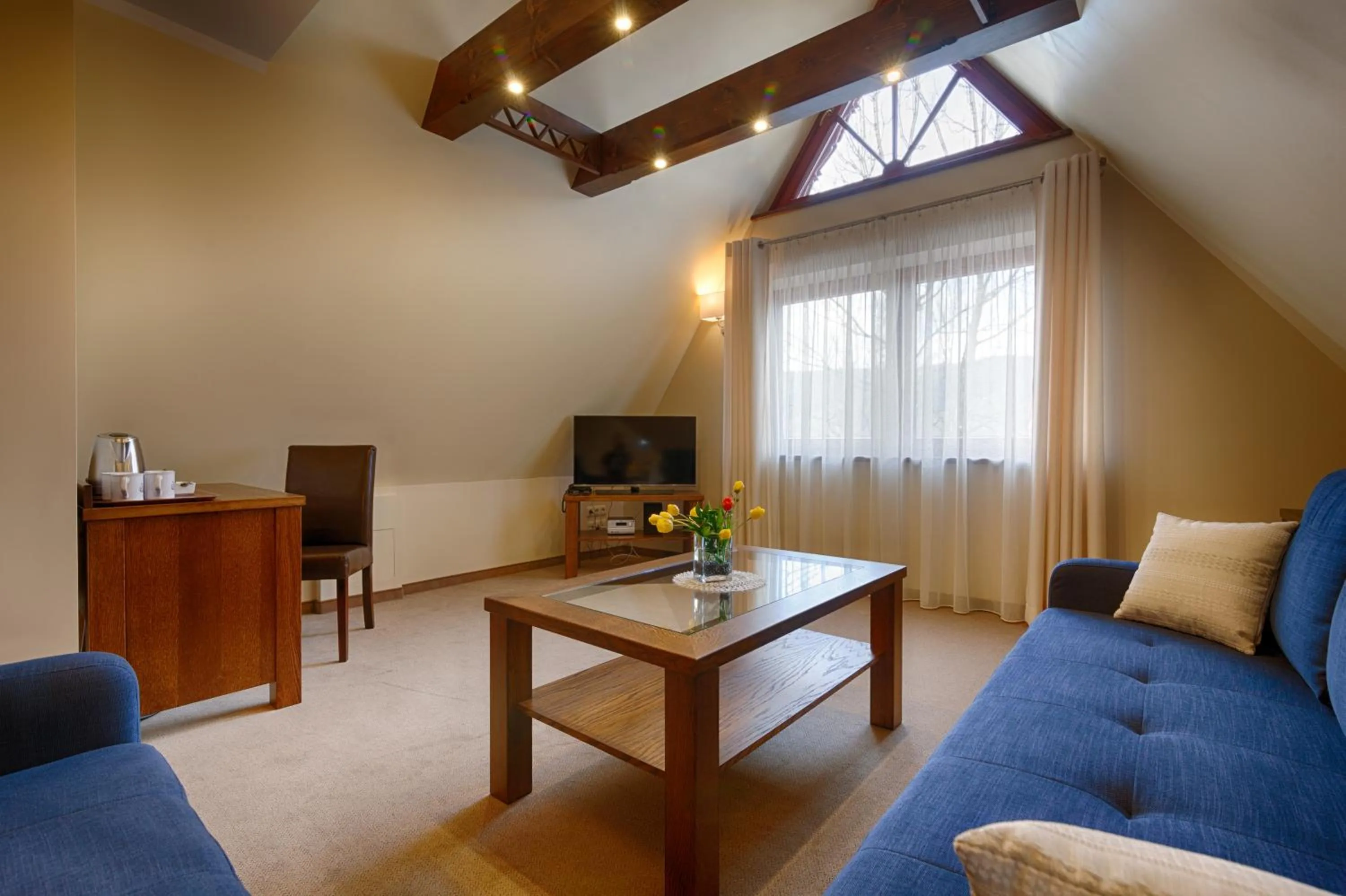 Photo of the whole room in Willa Kmicic