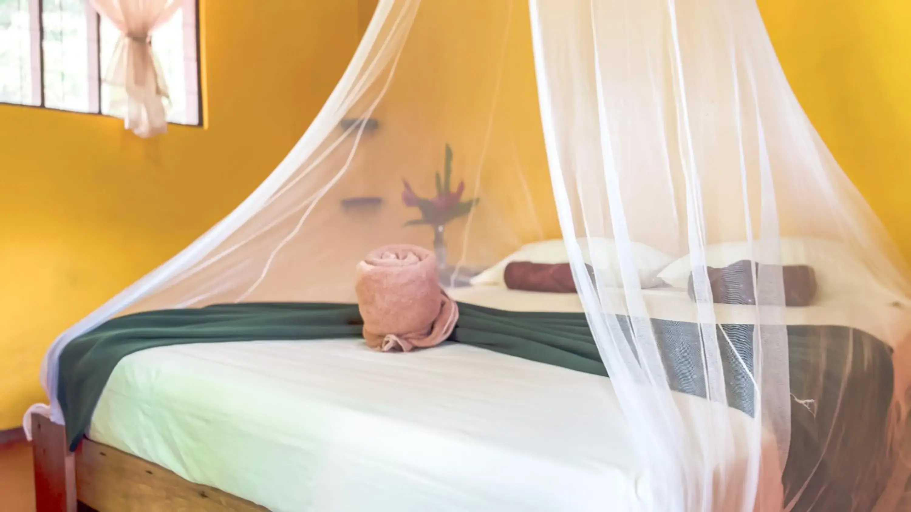 Standard Room with Garden View - single occupancy in Gran Gavilán del Sarapiquí Lodge Standard Room with Garden View - single occupancy in Gran Gavilán del Sarapiquí Lodge