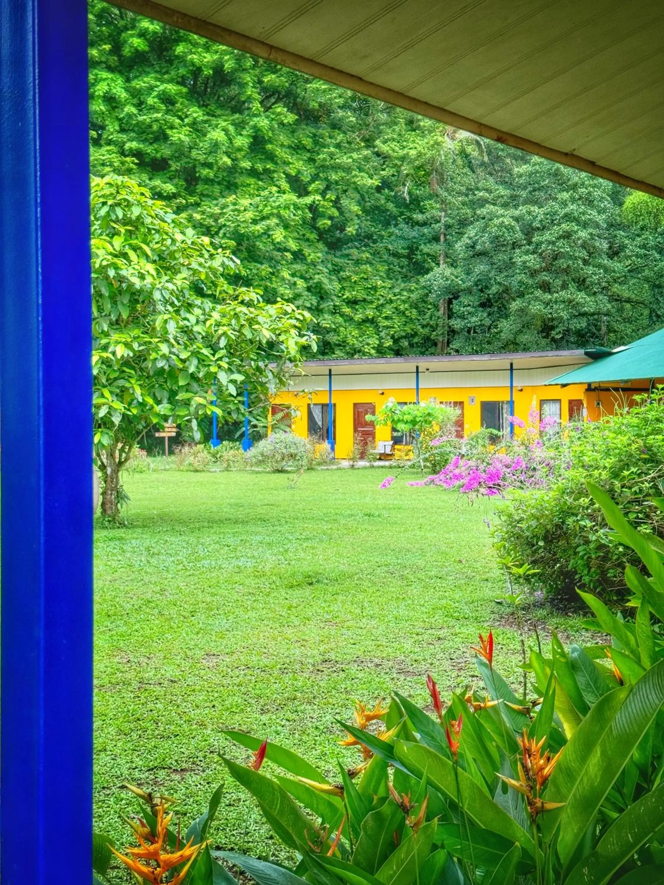 Natural landscape in Gran Gavilán del Sarapiquí Lodge