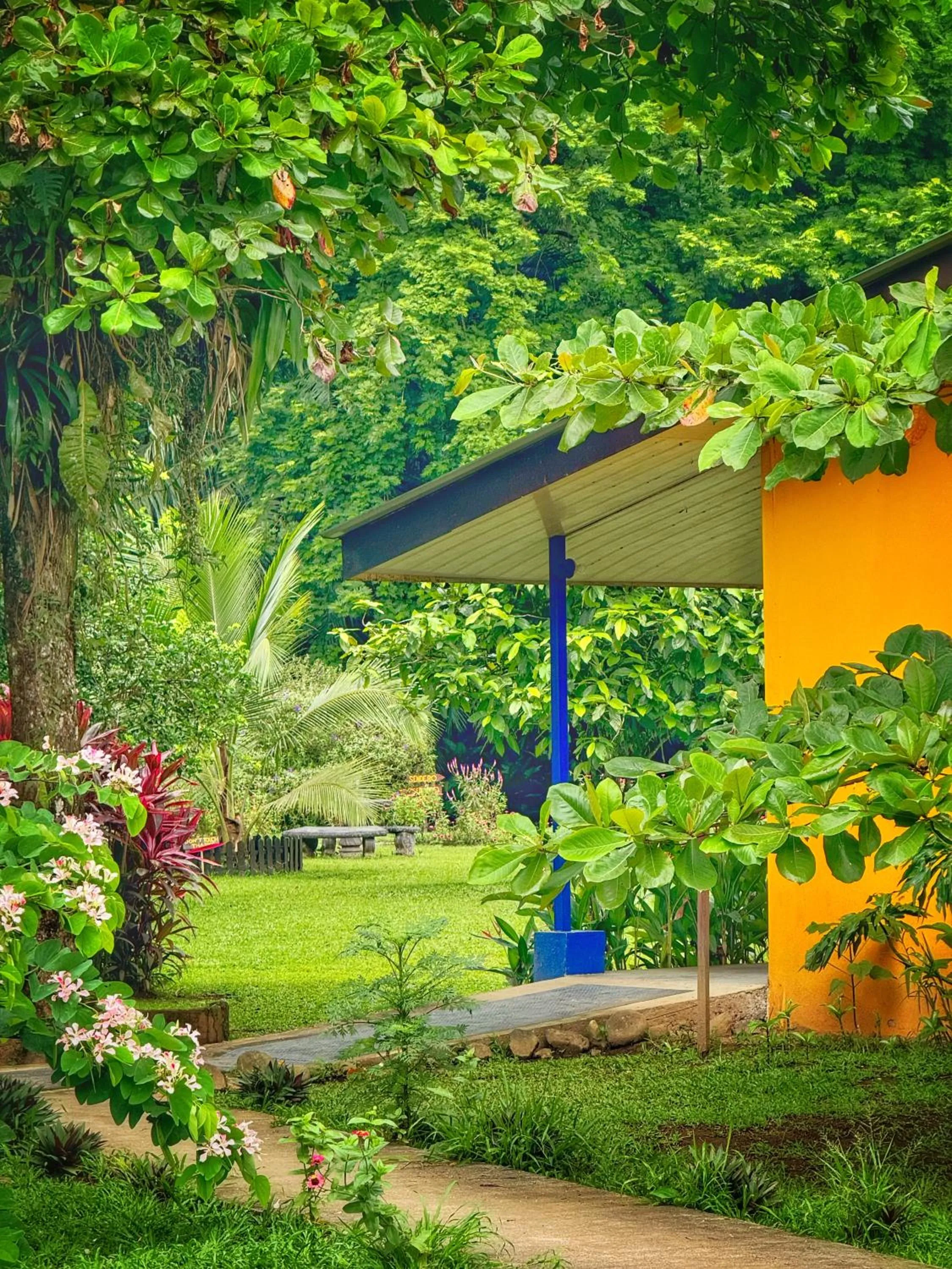 Natural landscape in Gran Gavilán del Sarapiquí Lodge