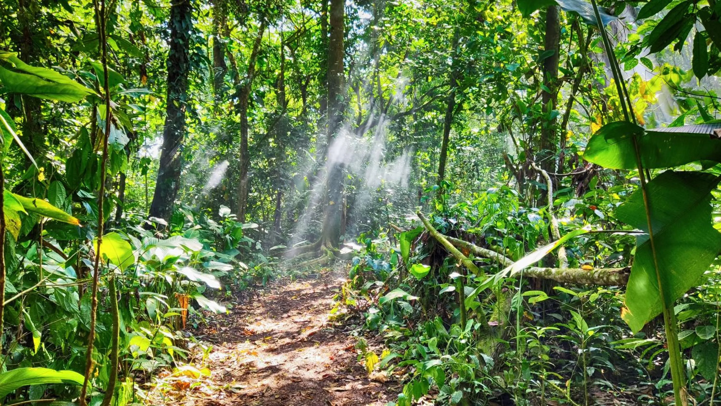 Natural landscape in Gran Gavilán del Sarapiquí Lodge