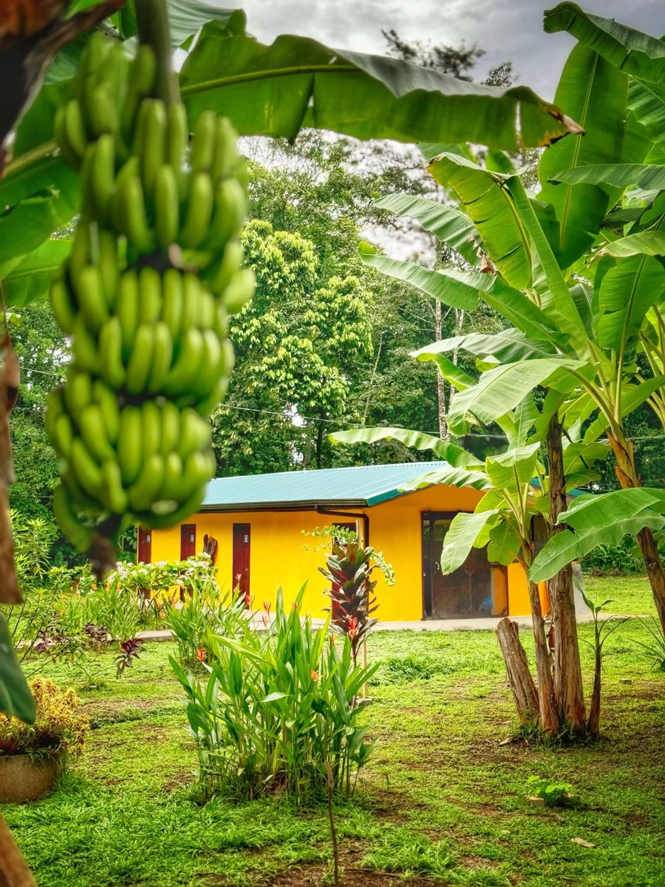 Property building in Gran Gavilán del Sarapiquí Lodge