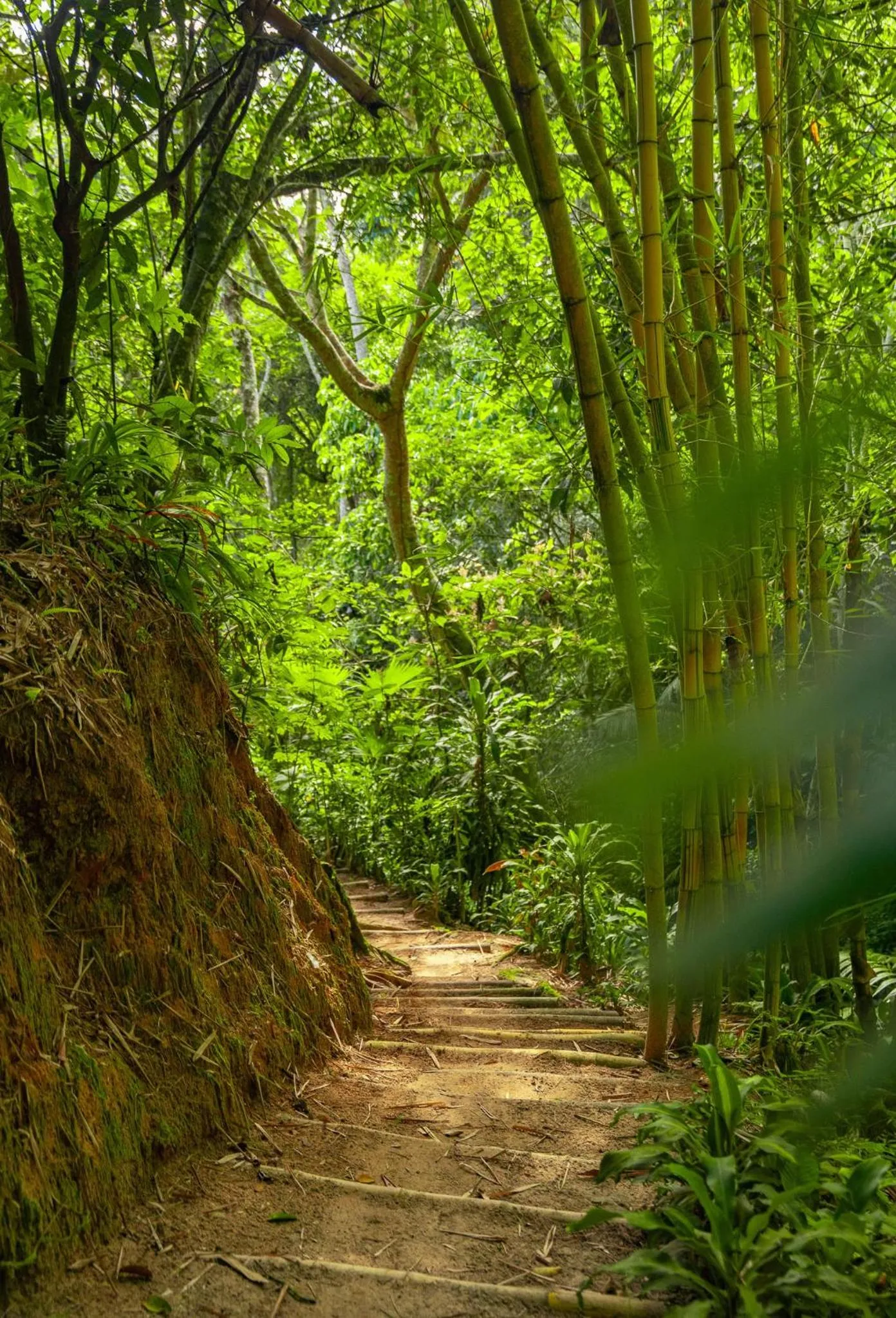 Hiking in Altavista Casahotel - Asociado Casa Andina