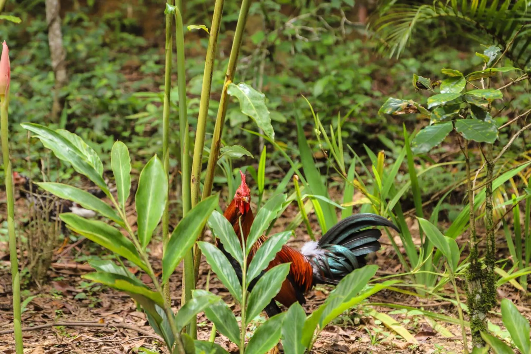 Property building in Altavista Casahotel - Asociado Casa Andina