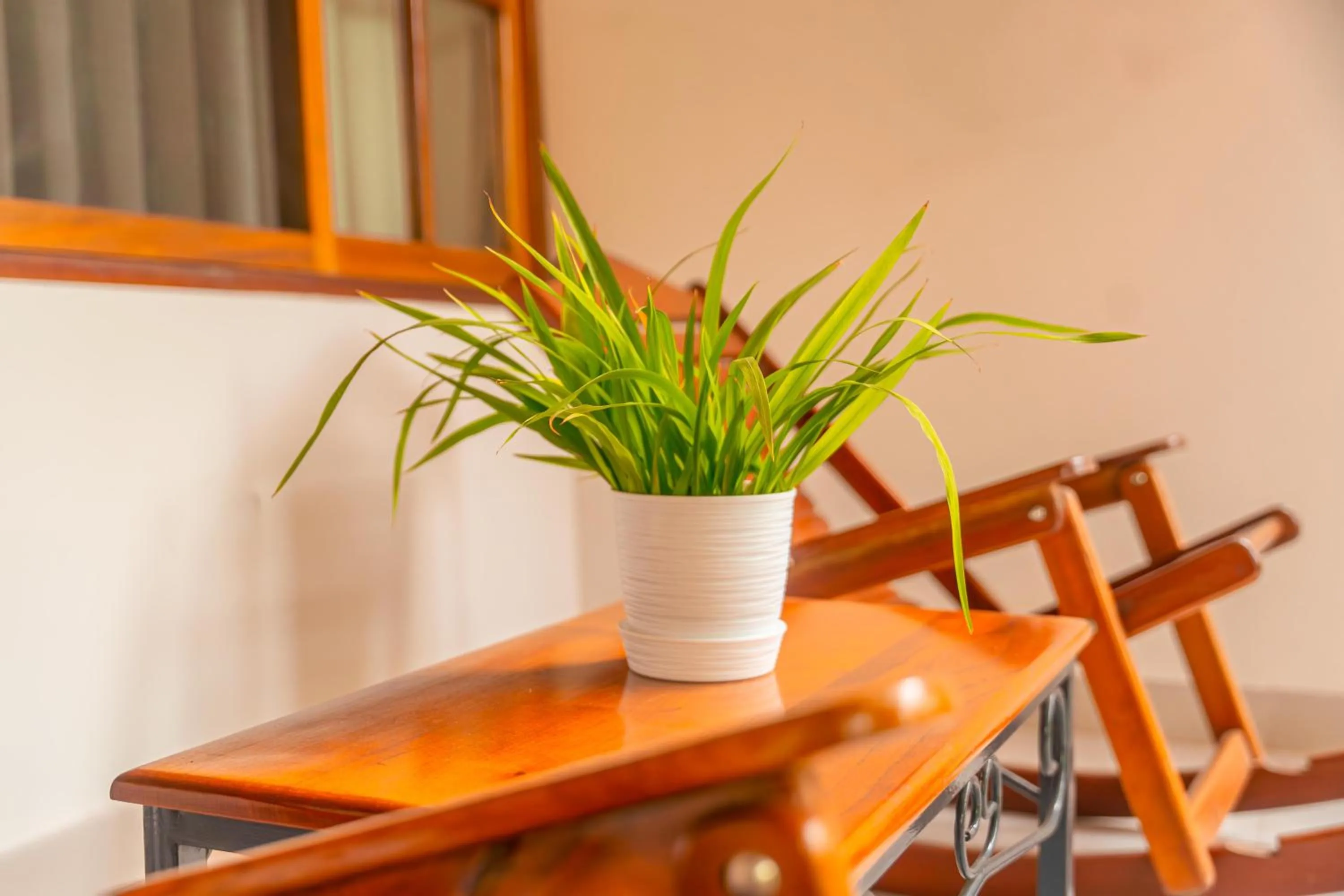 Balcony/Terrace in Altavista Casahotel - Asociado Casa Andina