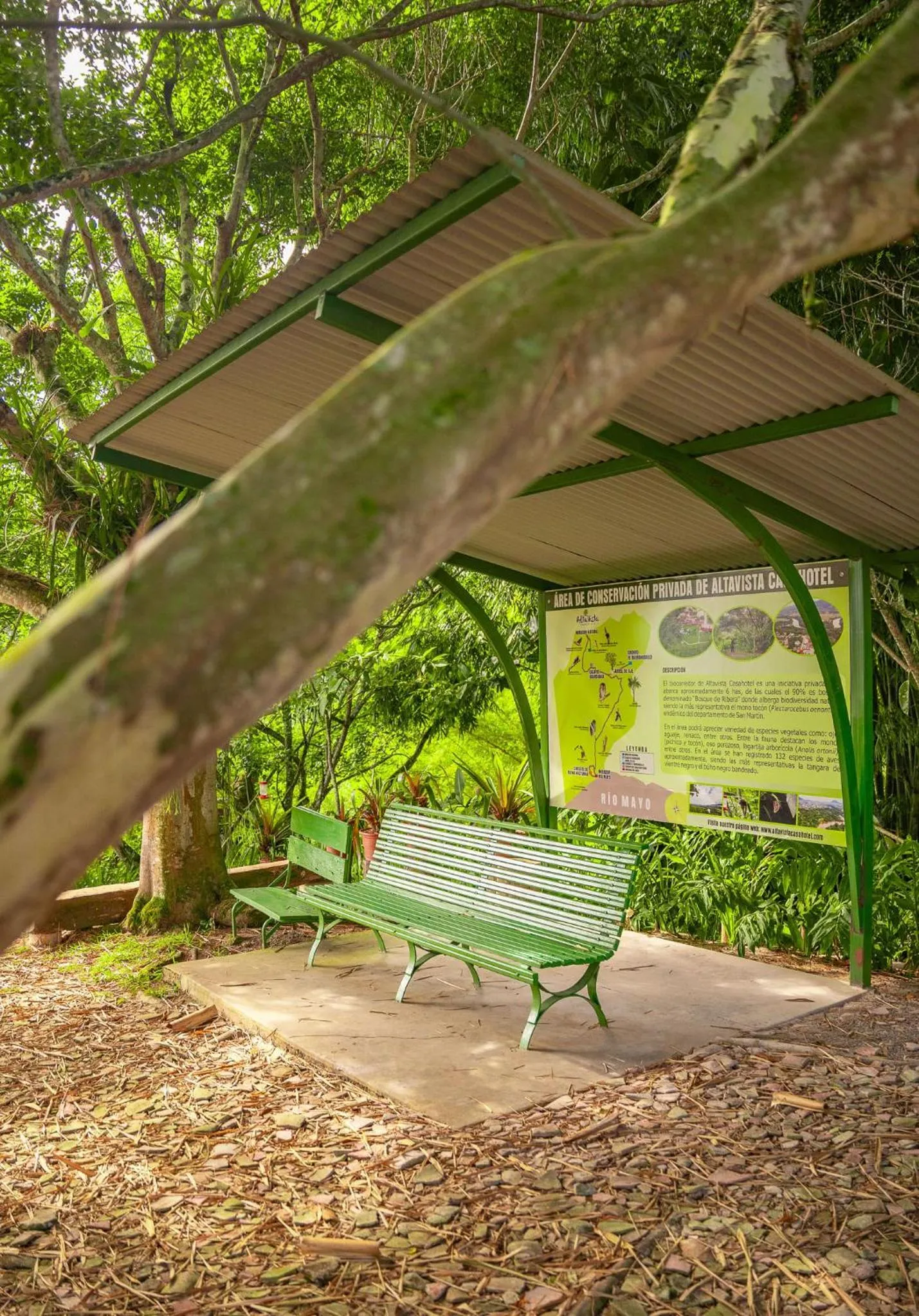 Hiking in Altavista Casahotel - Asociado Casa Andina