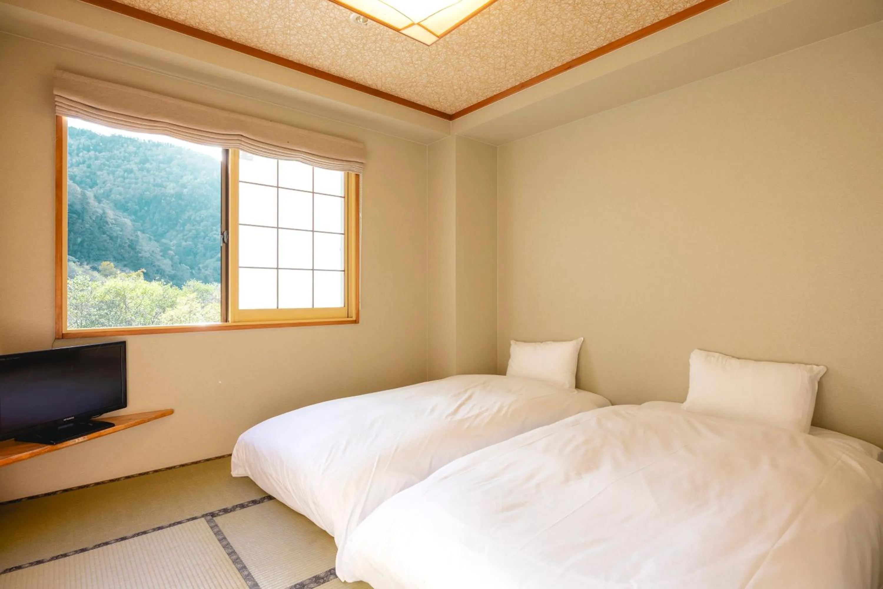 Photo of the whole room, Bed in Shikishimaso