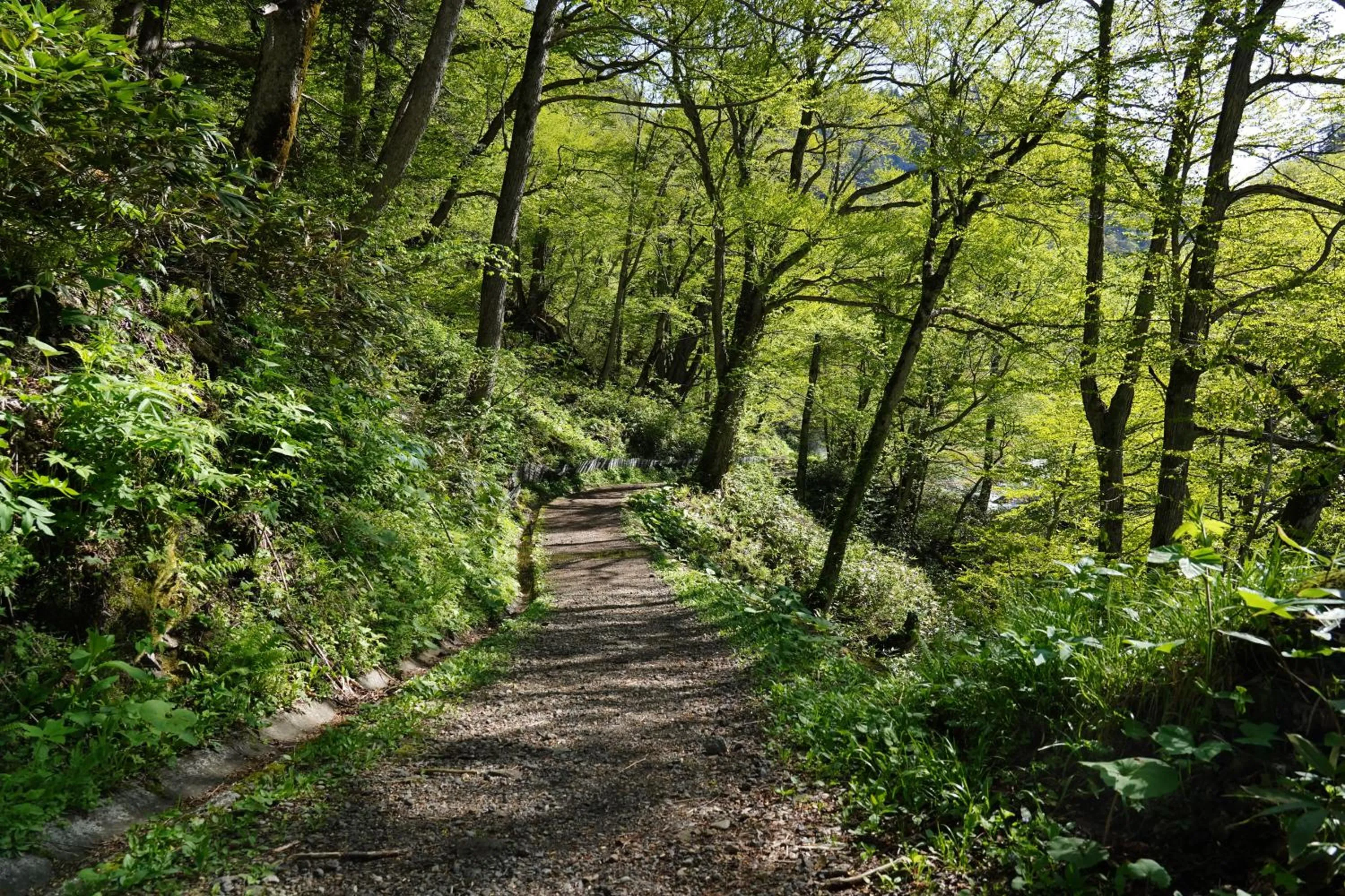 Natural landscape in Shikishimaso