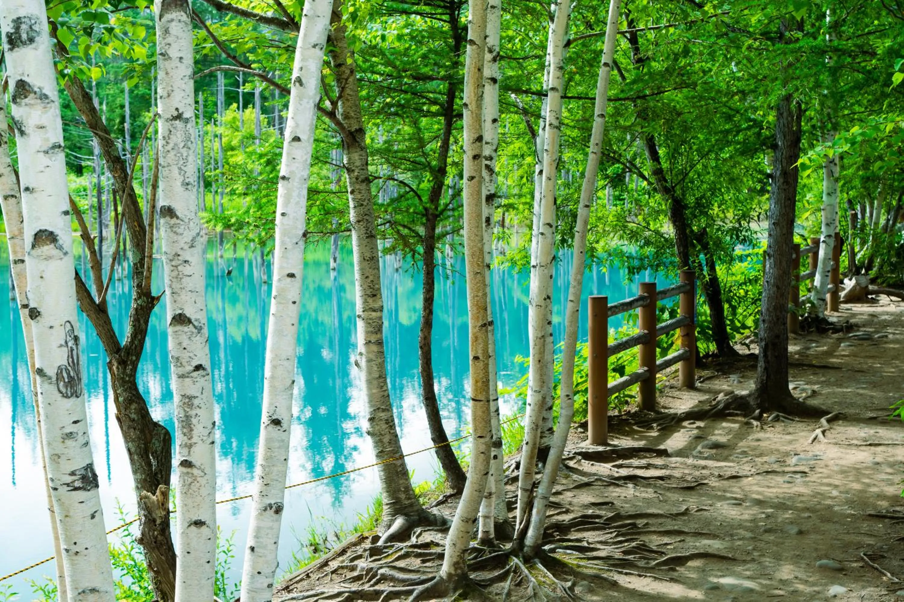 Nearby landmark in Shikishimaso