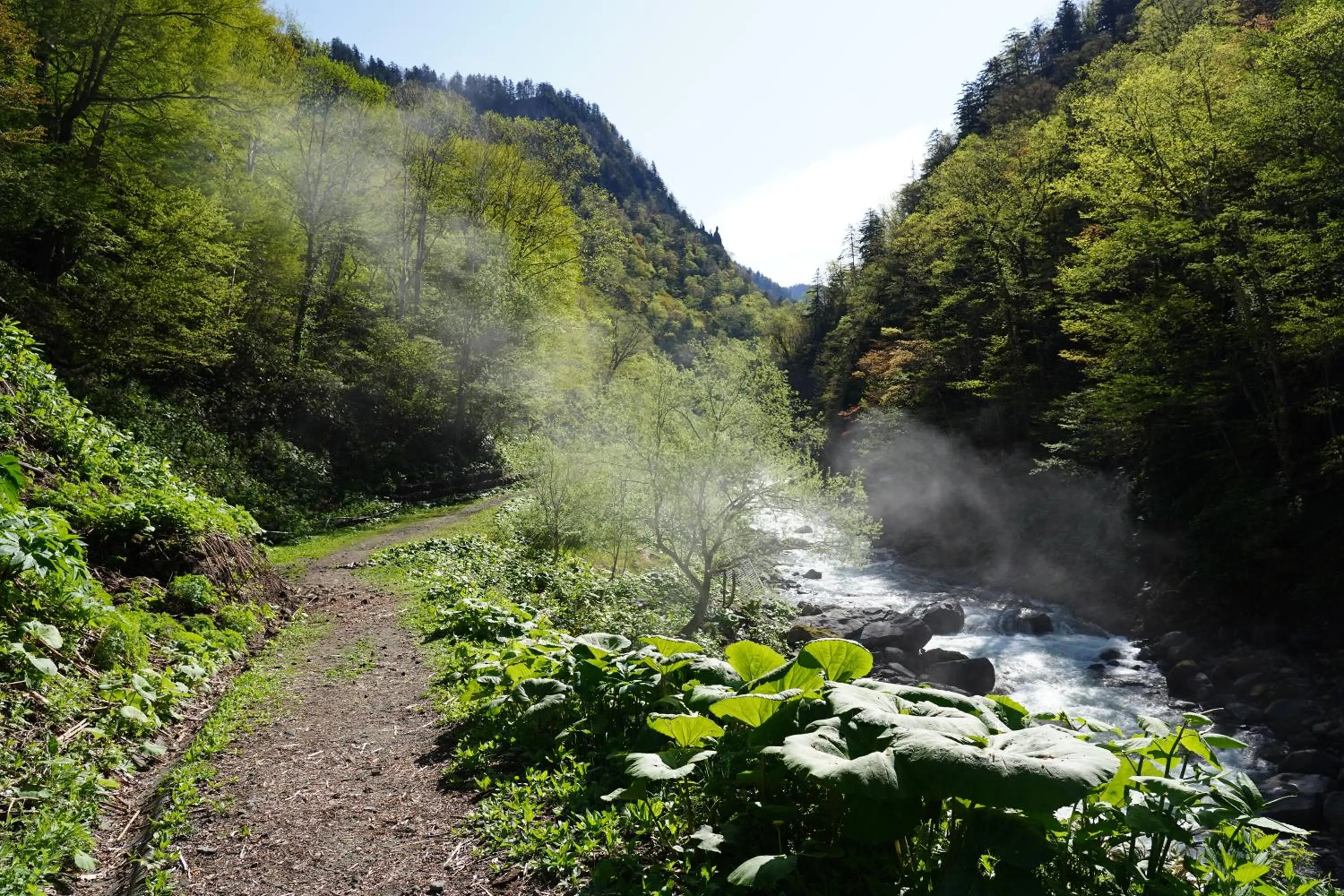 Natural landscape in Shikishimaso