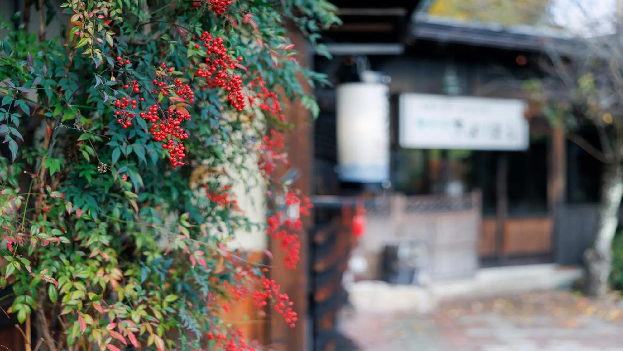 Property building in 緑風苑 きよはる Ryokufuen Kiyoharu