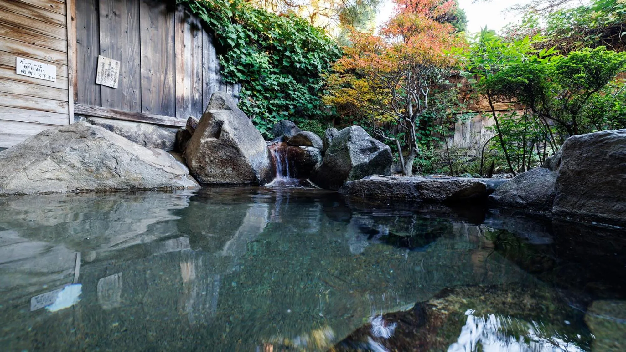 Public Bath in 緑風苑 きよはる Ryokufuen Kiyoharu