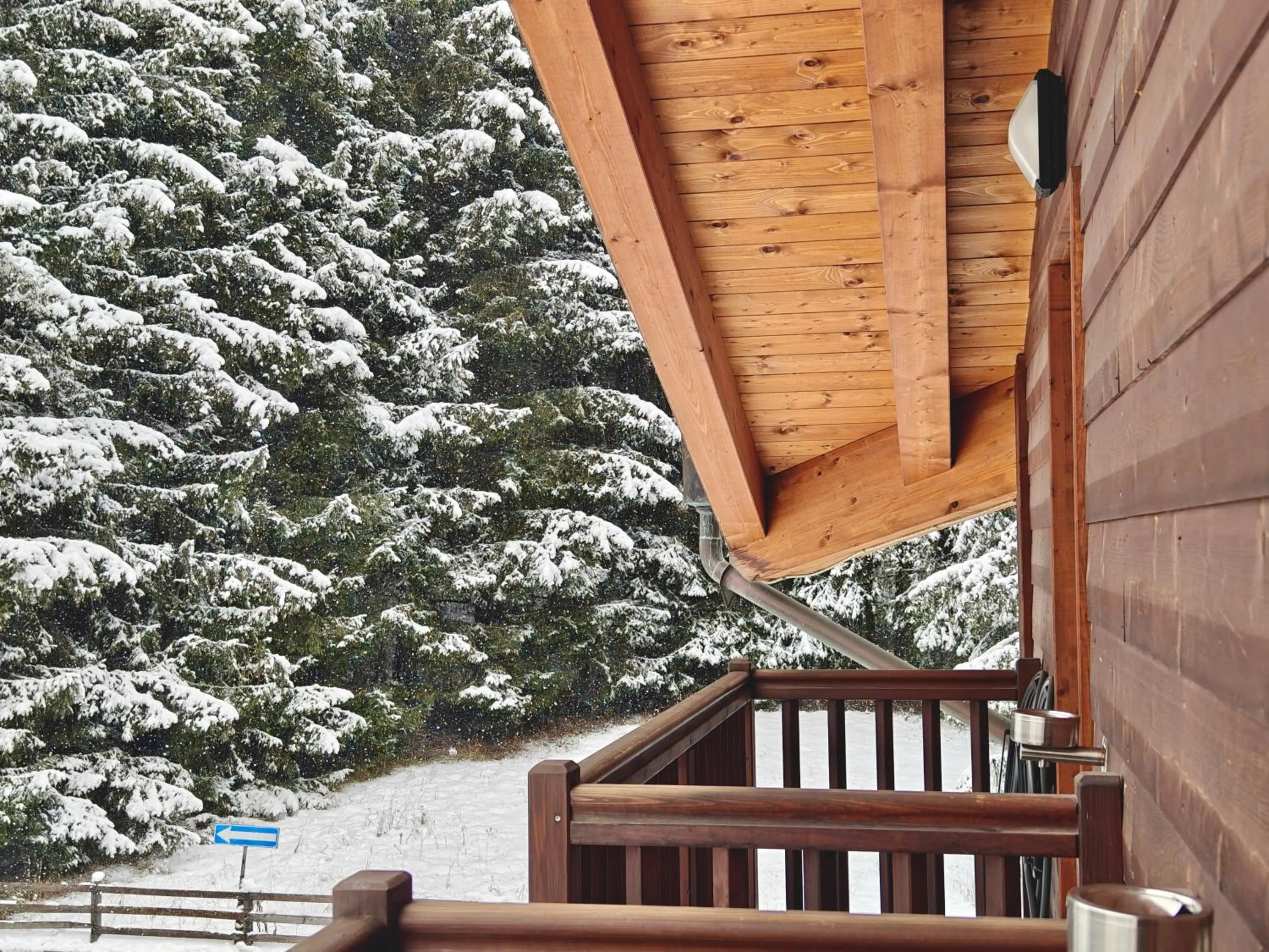 View (from property/room) in Hotel L' Aiglon