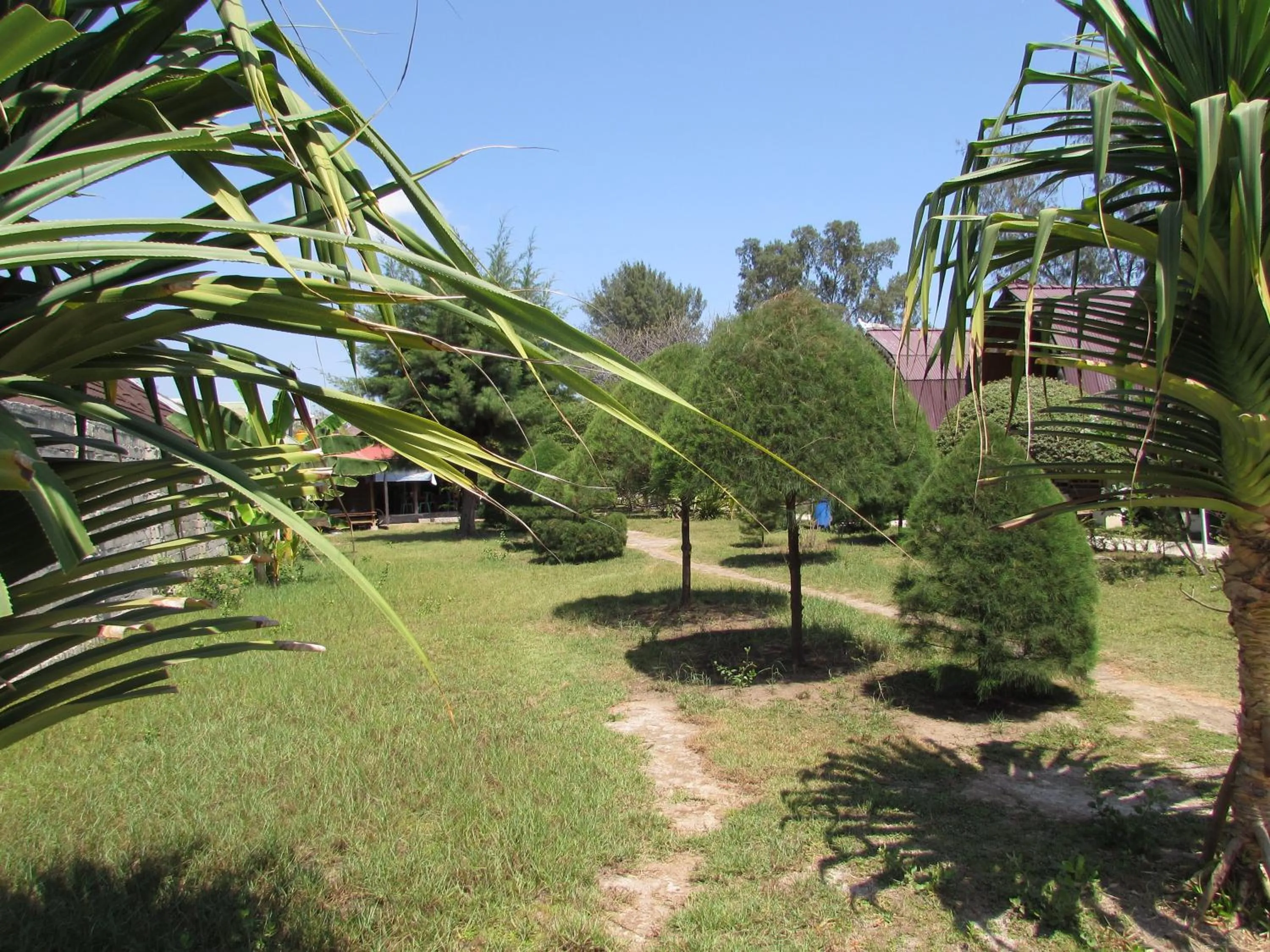 Garden view in II Bungalow