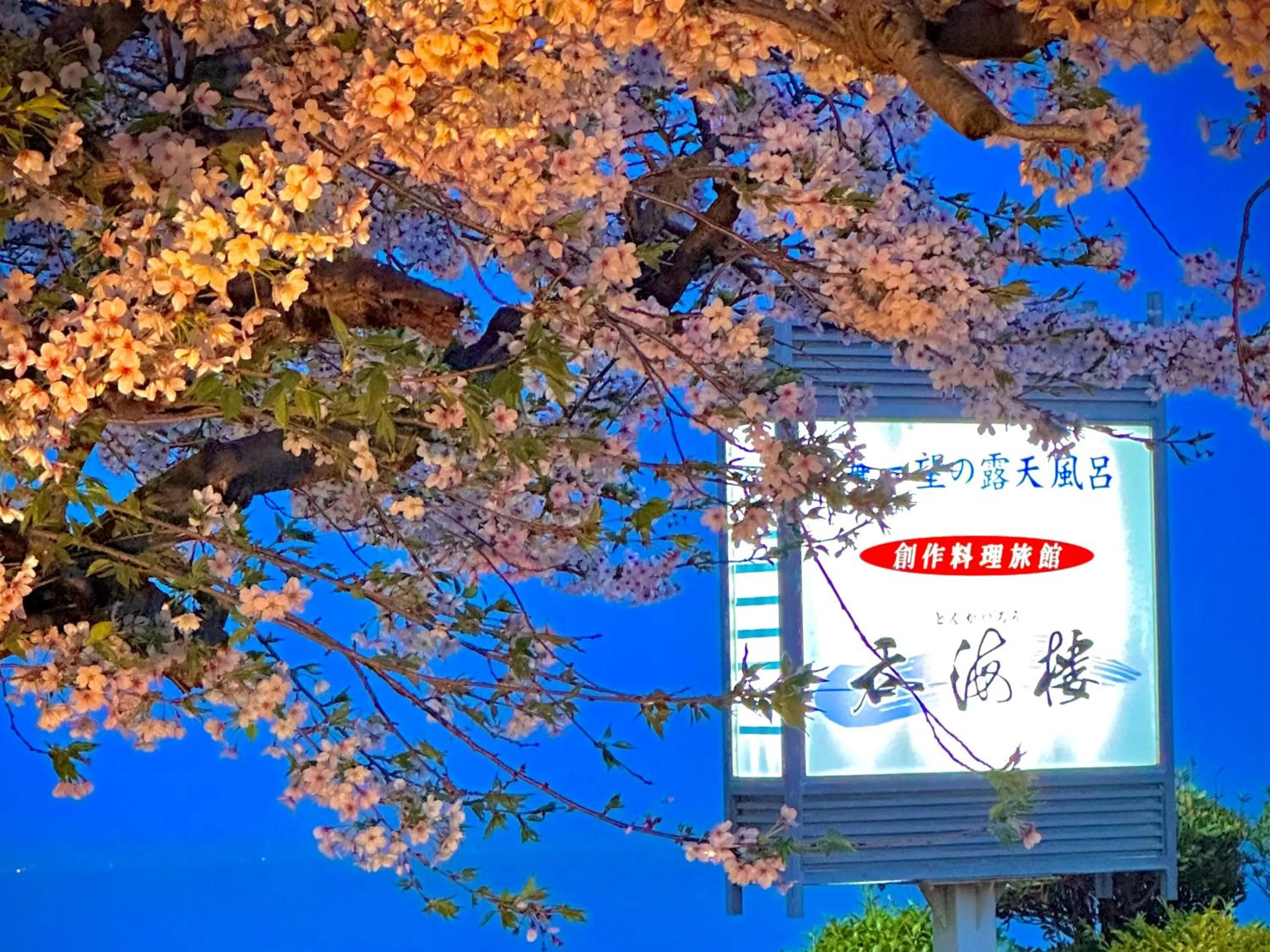 Property building in Donkairo