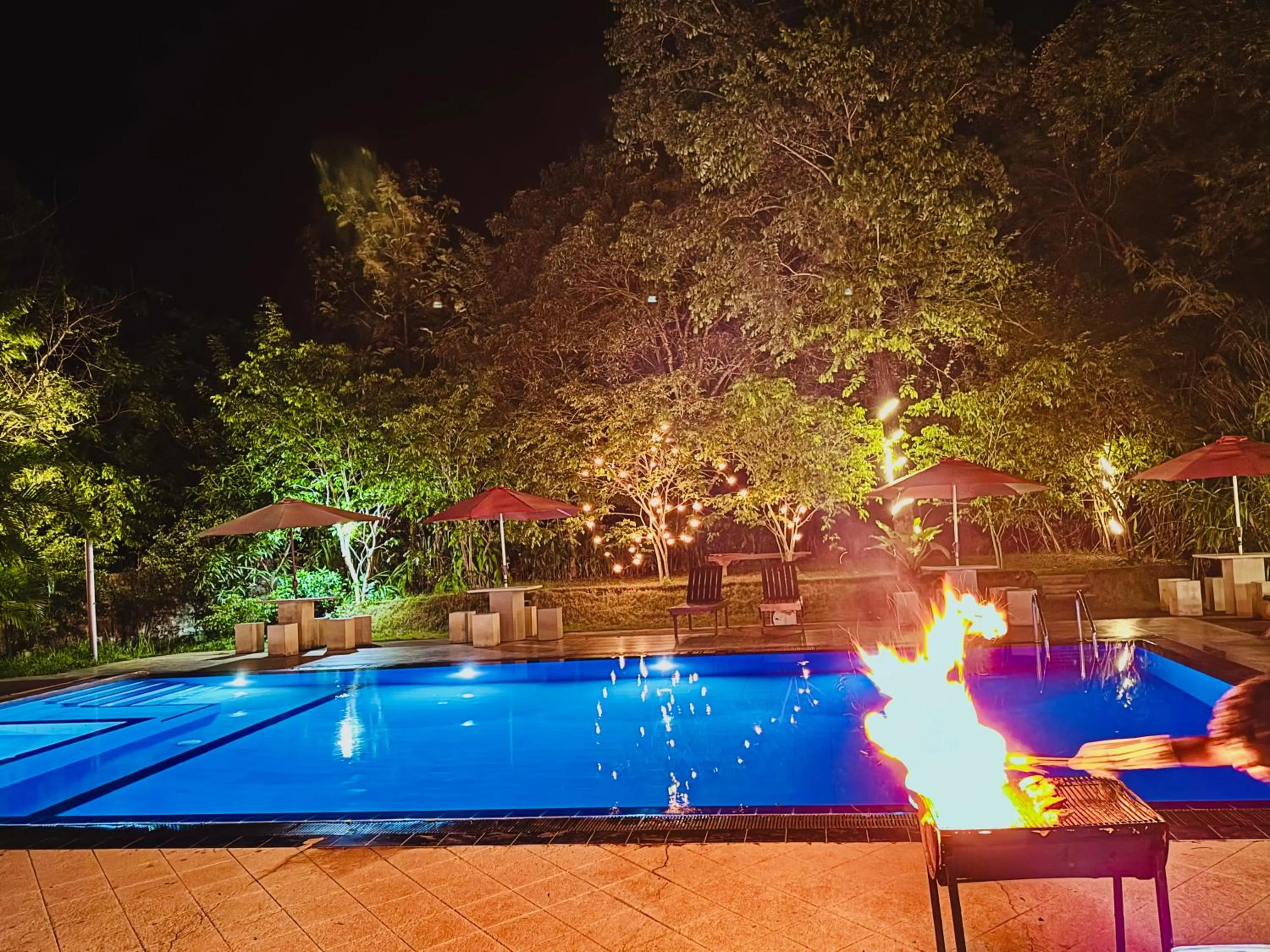 Night in Dudley Nature Resort