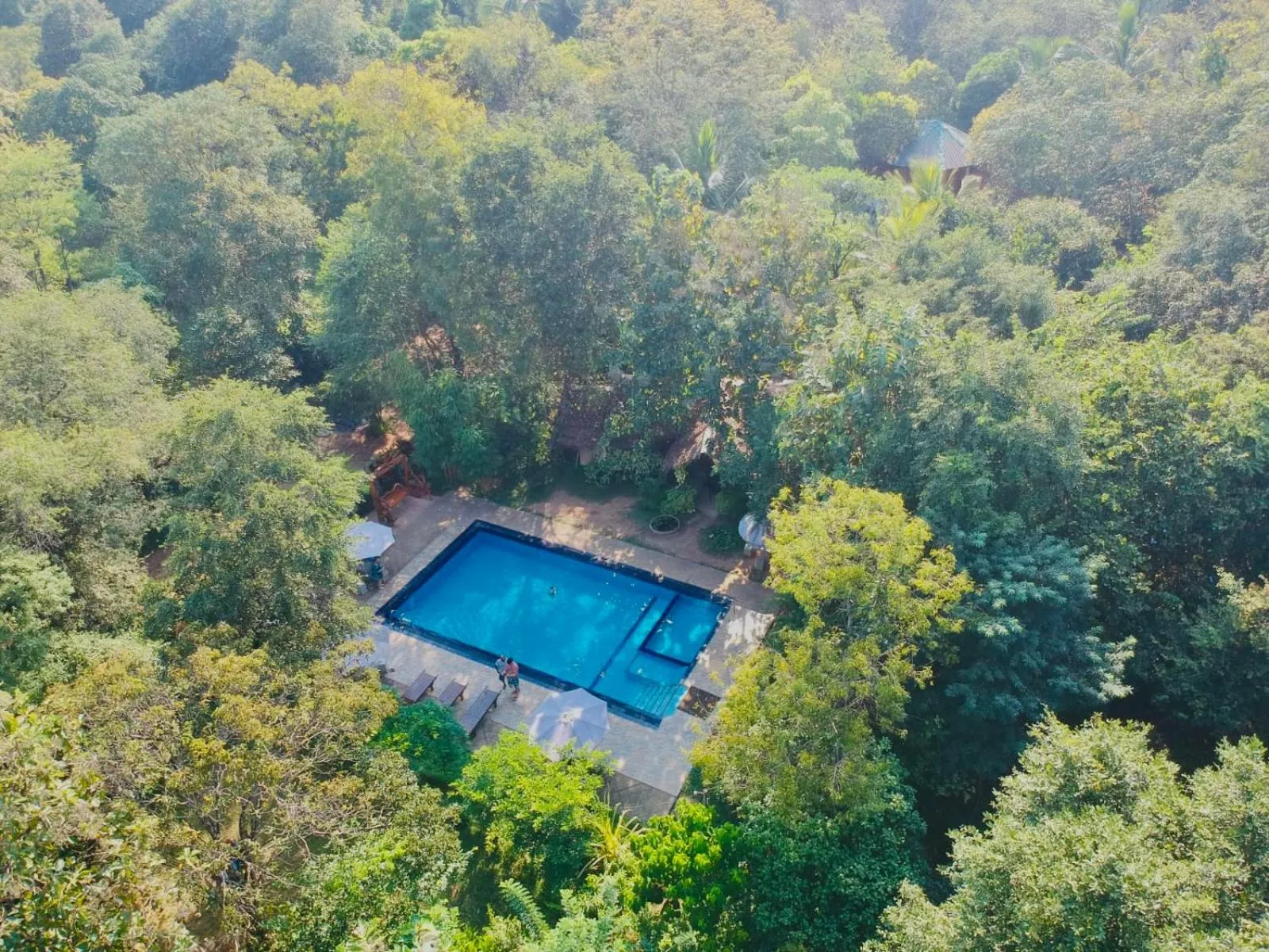 View (from property/room) in Dudley Nature Resort