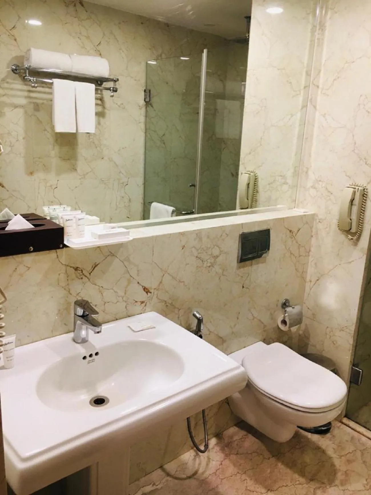 Toilet in Radisson Goa Candolim