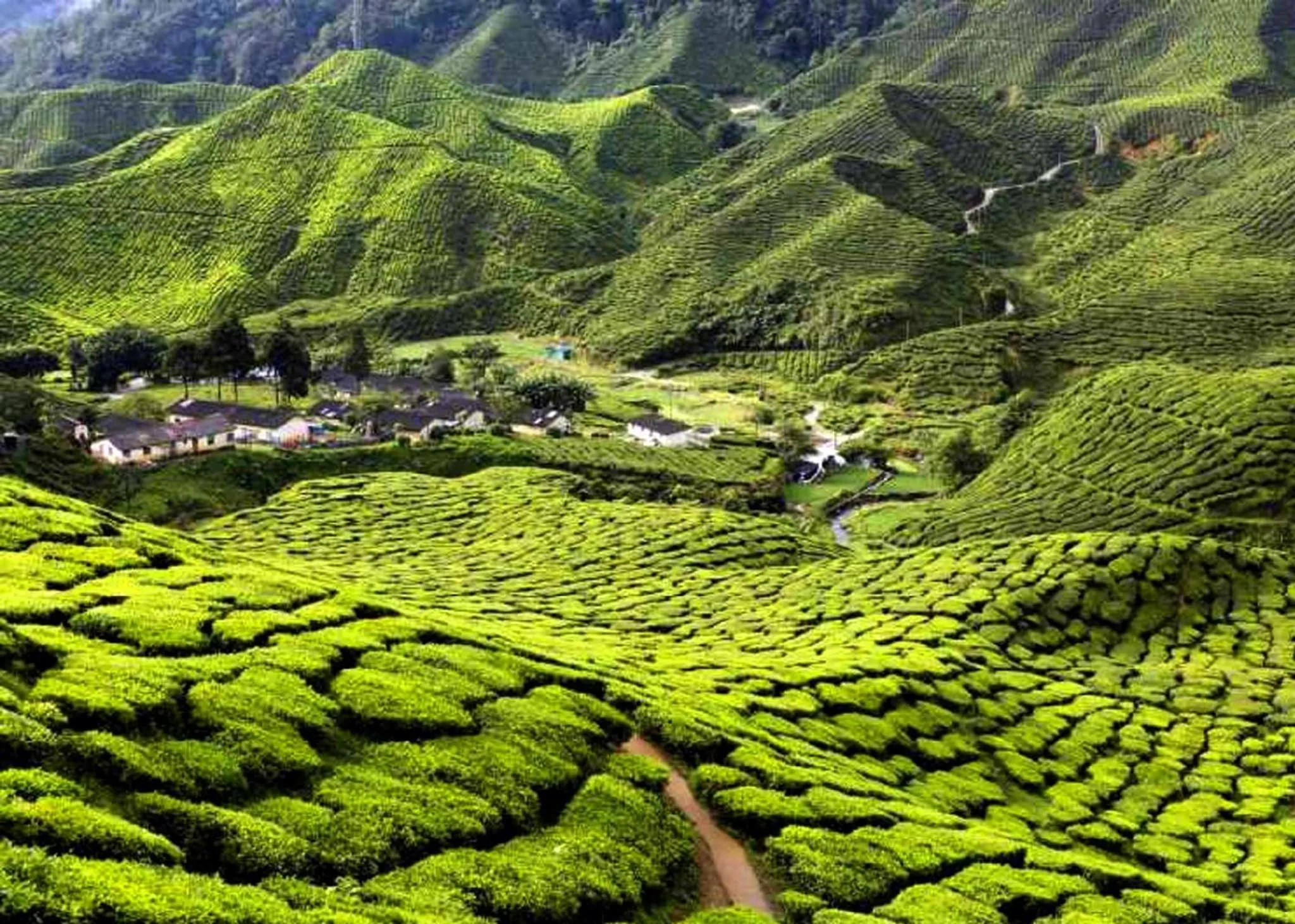 Nearby landmark in ARK Business Rawang hotel