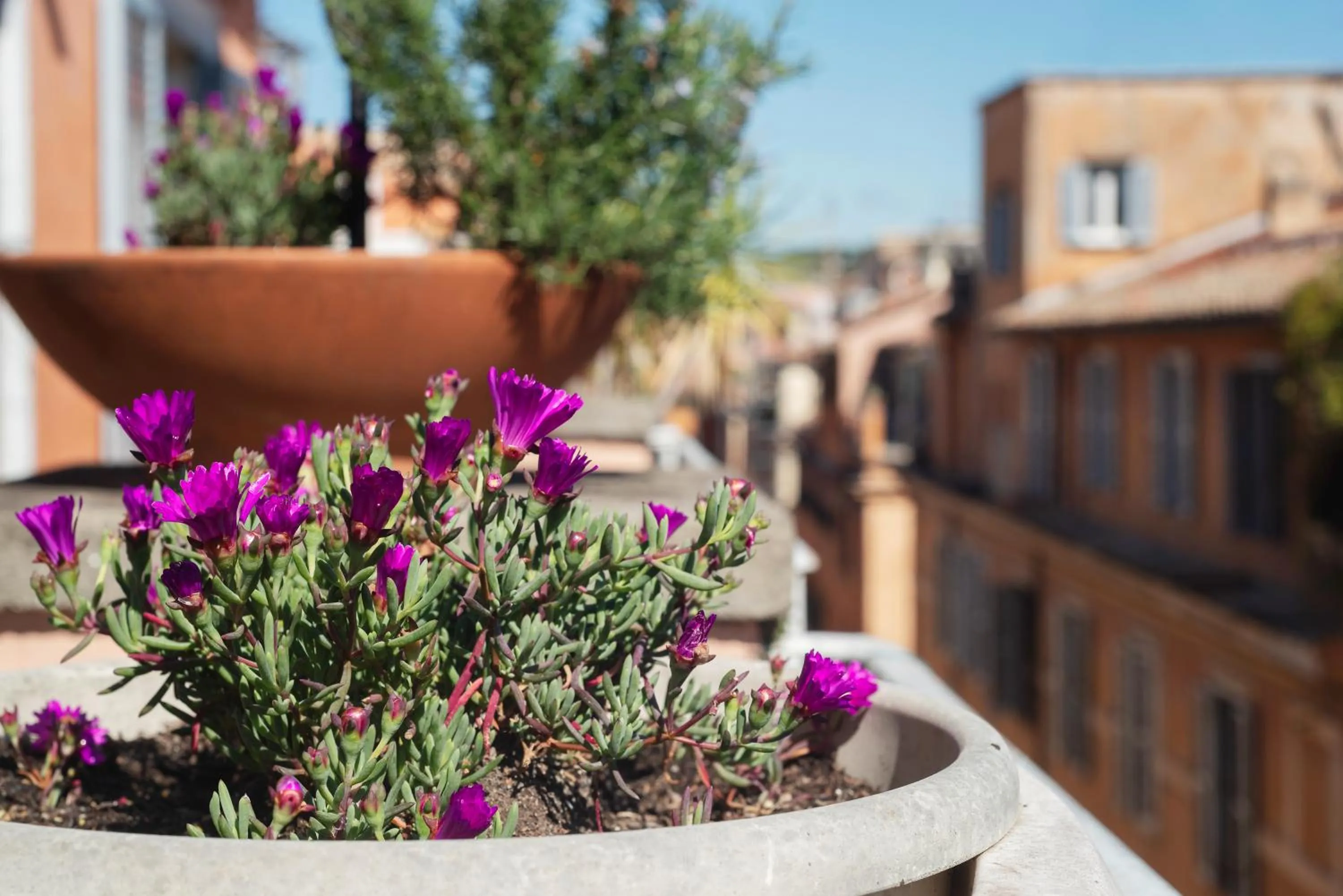 Balcony/Terrace in Spanish Steps Corner