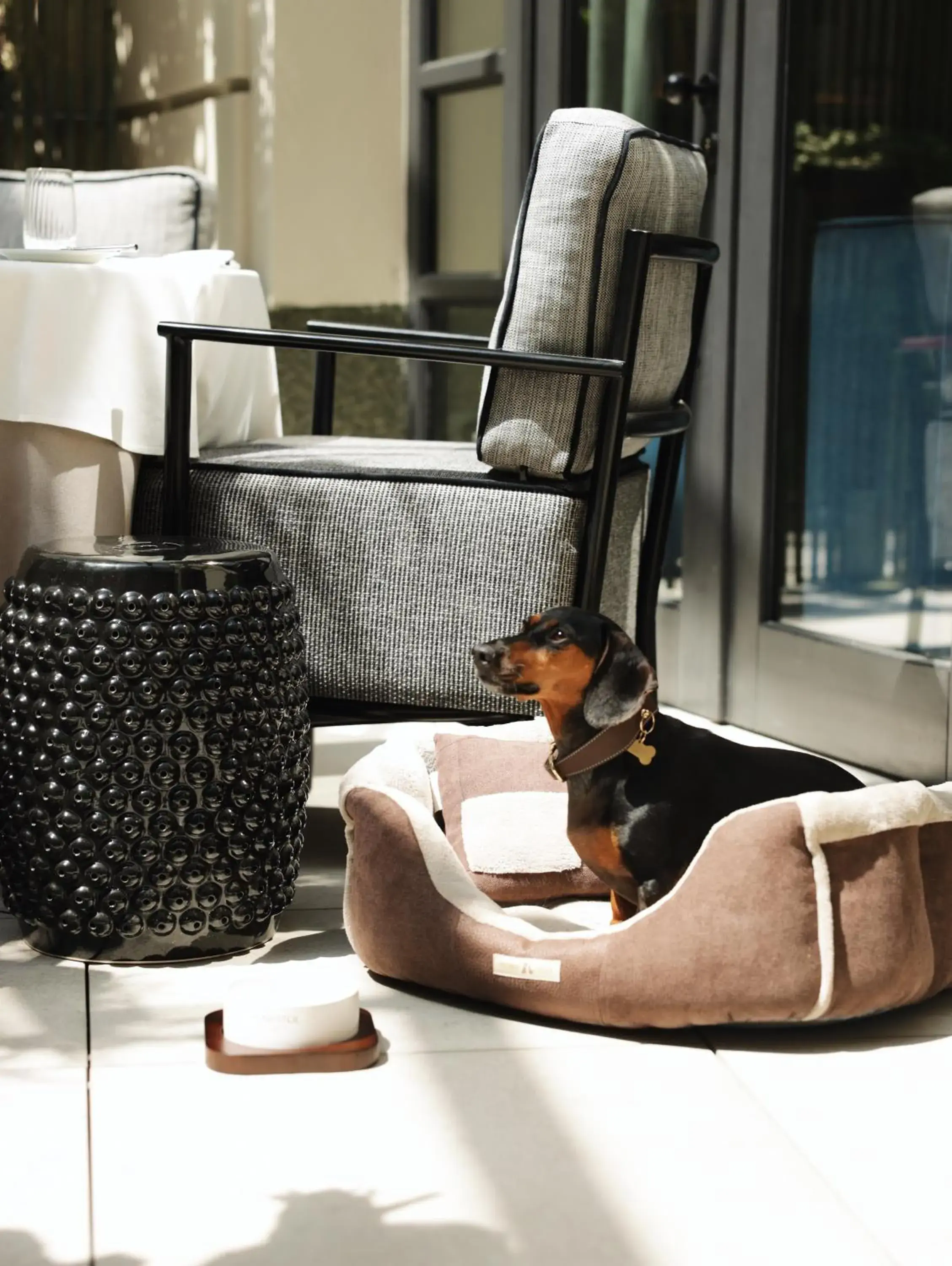 The Bristol Belgrade The Bristol Belgrade