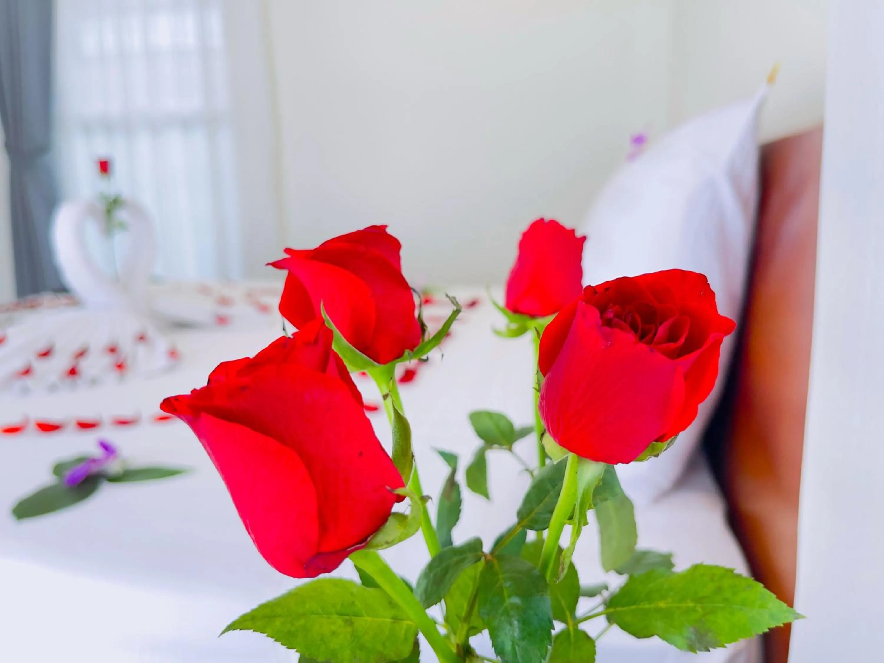 Property building, Bed in Sea Breeze Resort