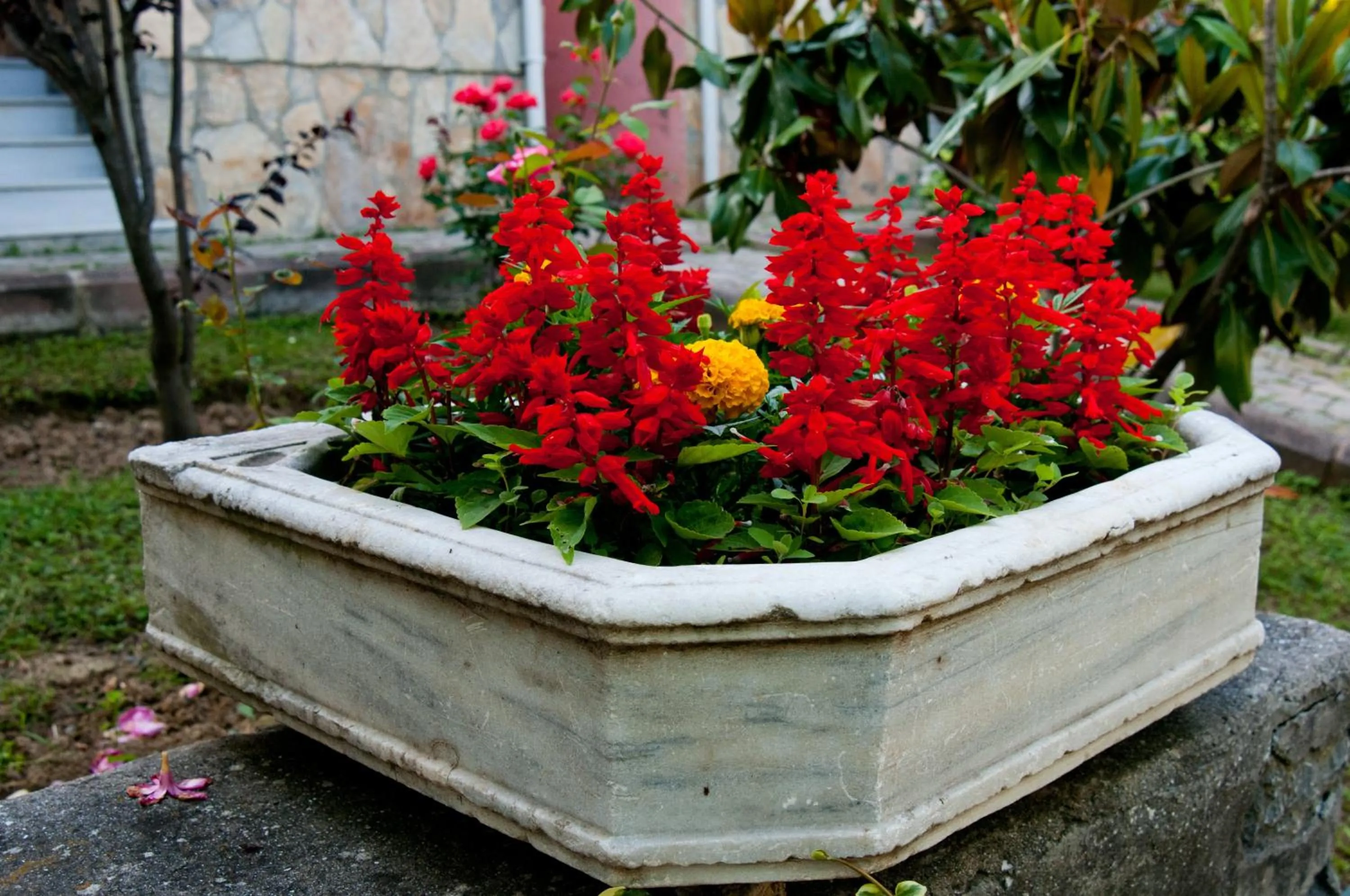 Garden view in Fener Motel