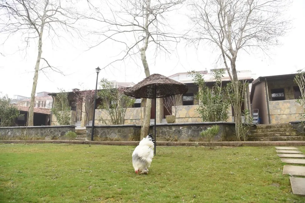 Property building in Fener Motel