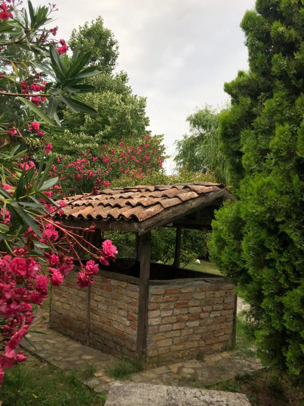 Garden in Fener Motel