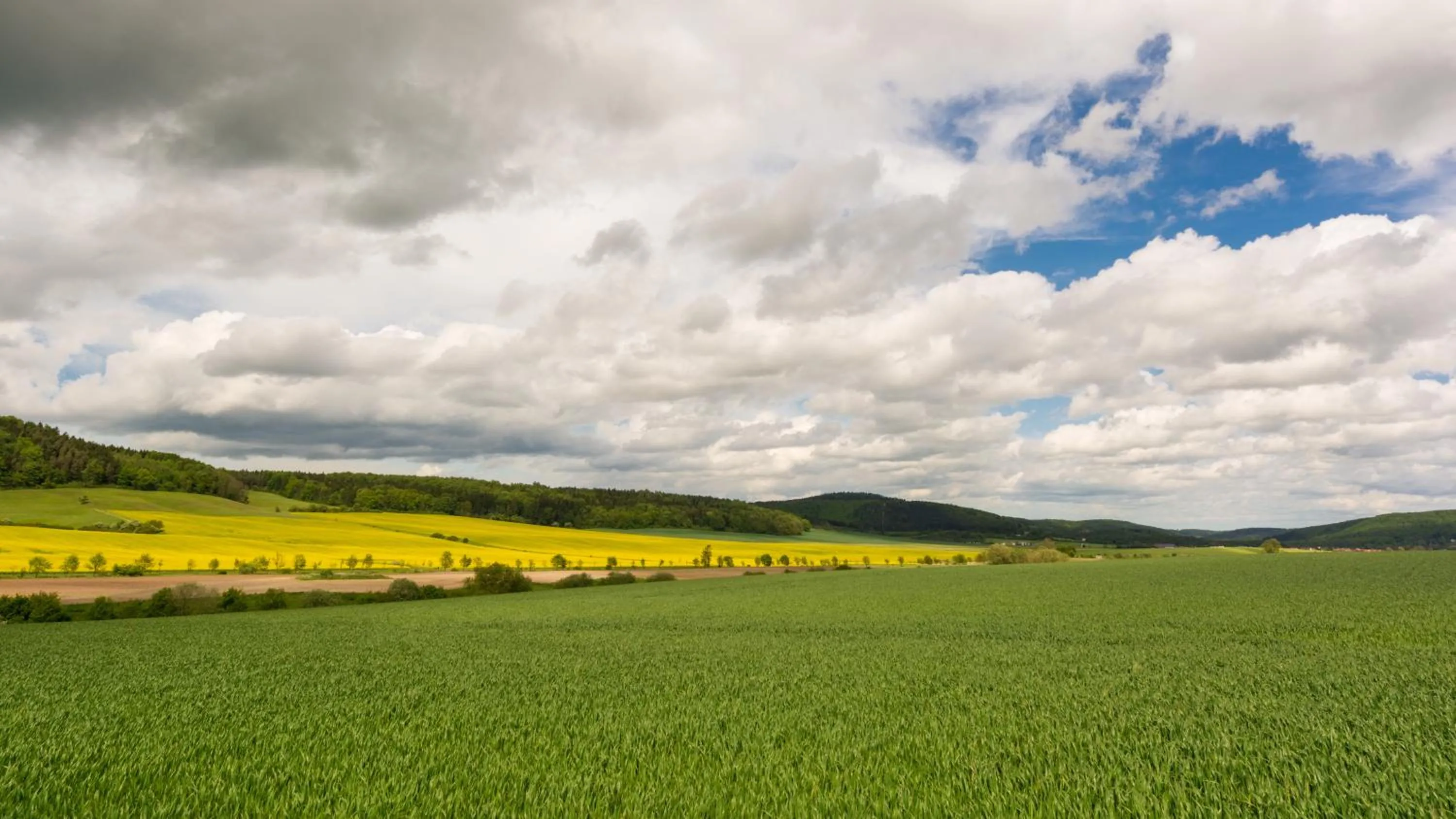 Natural landscape in Stiefelburg Der Berghof