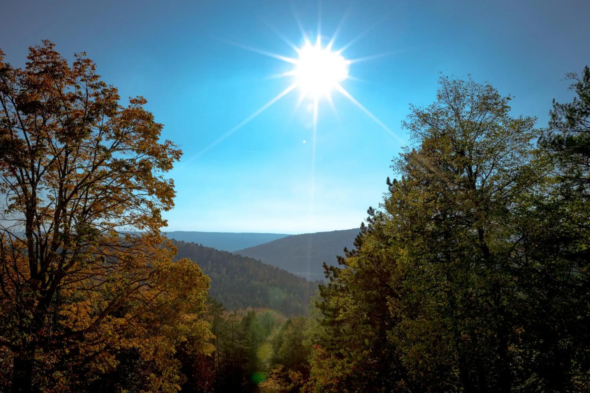 Natural landscape in Stiefelburg Der Berghof