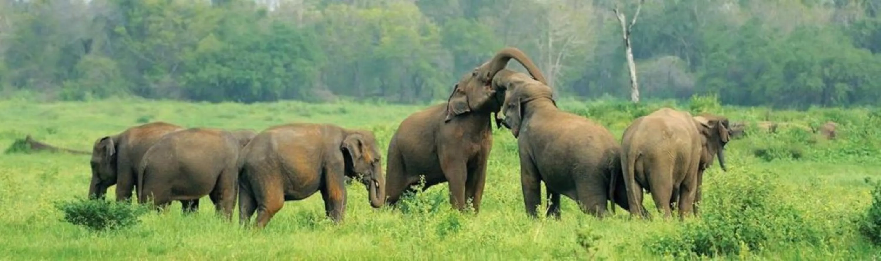 Day in Lake Wind Resort