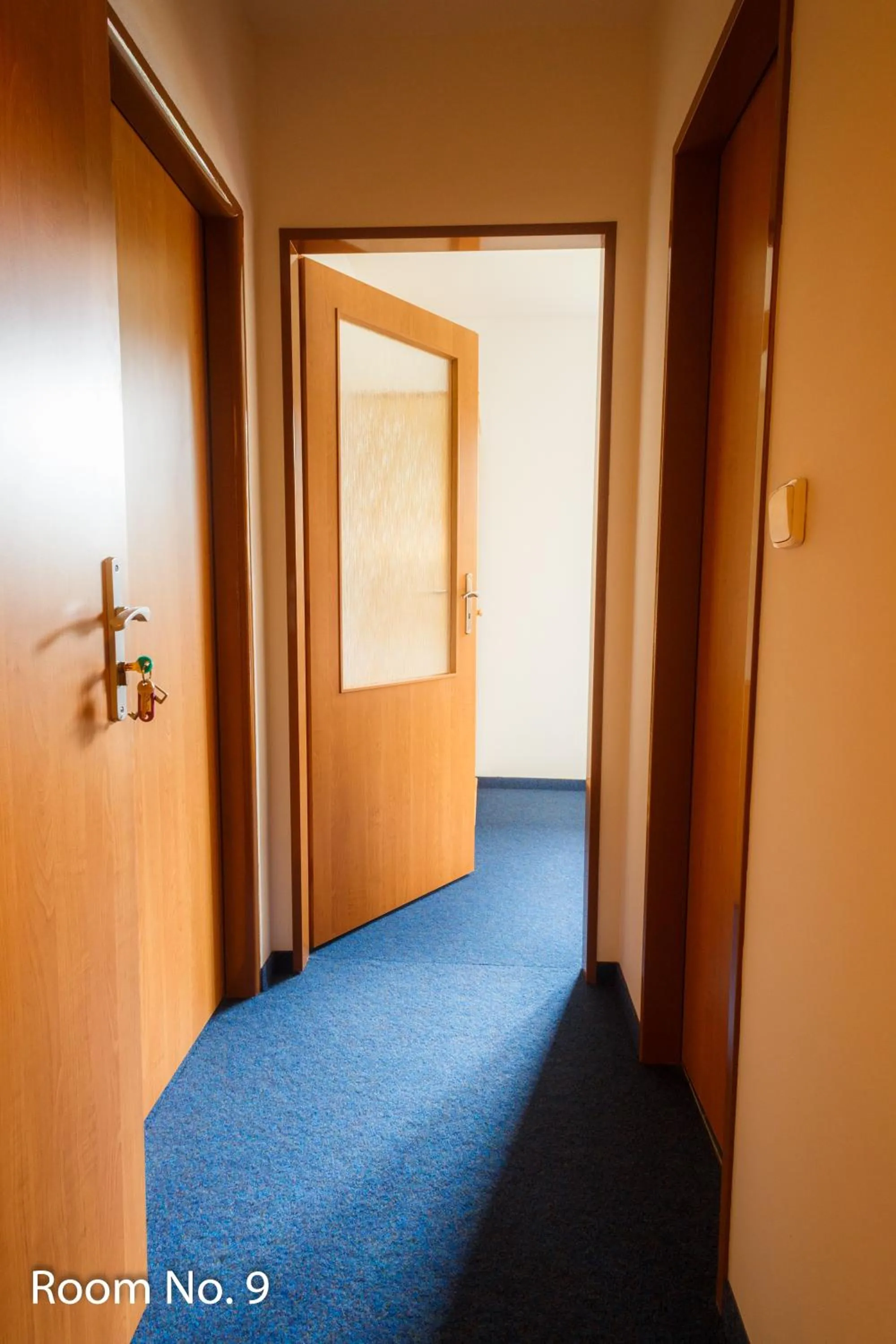 Area and facilities, Bed in Penzion Iris Krkonoše