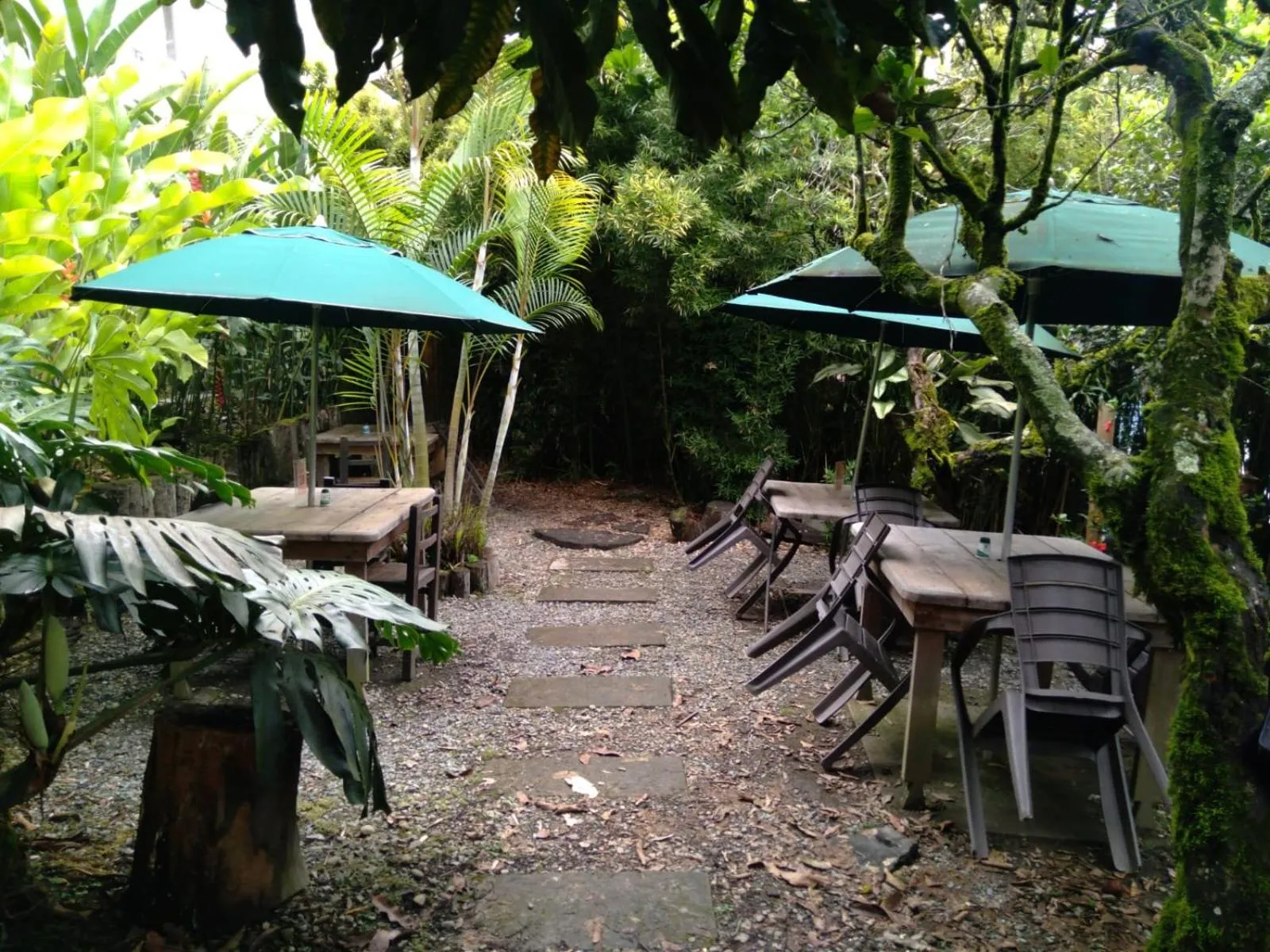 Restaurant/places to eat in Hotel Colonial - Salamina Caldas