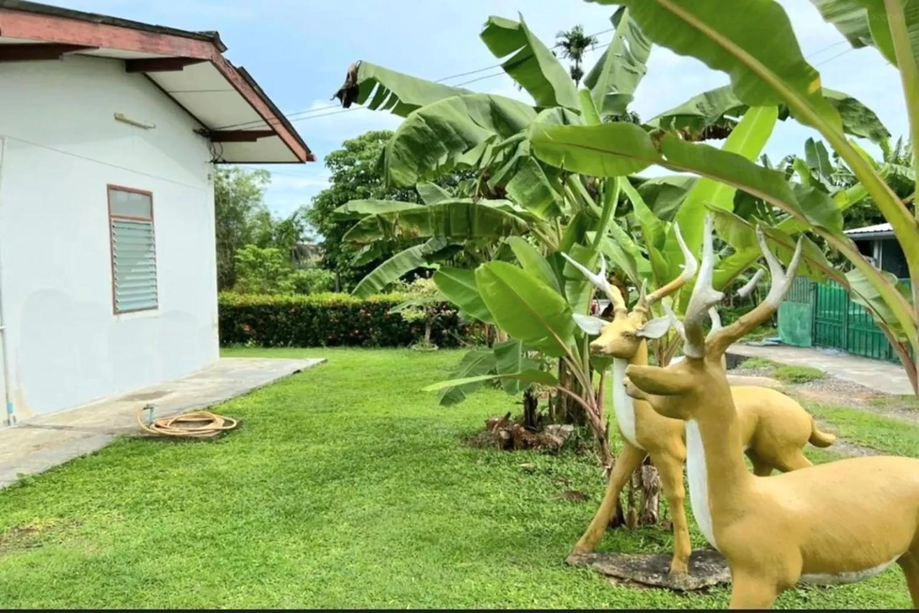 Garden in Baan Bonsuan Hill Guesthouse