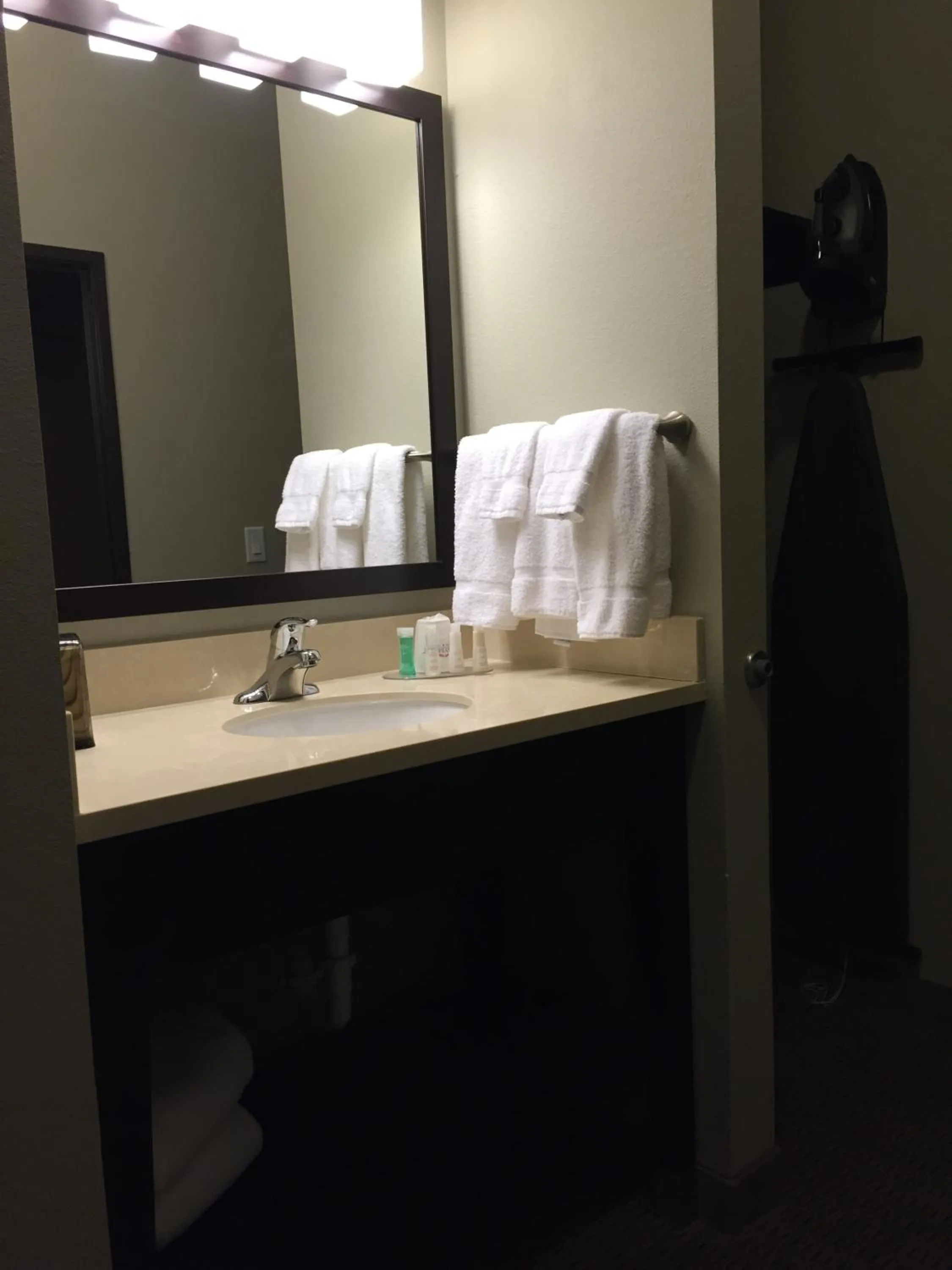 Bathroom in Baymont by Wyndham College Station
