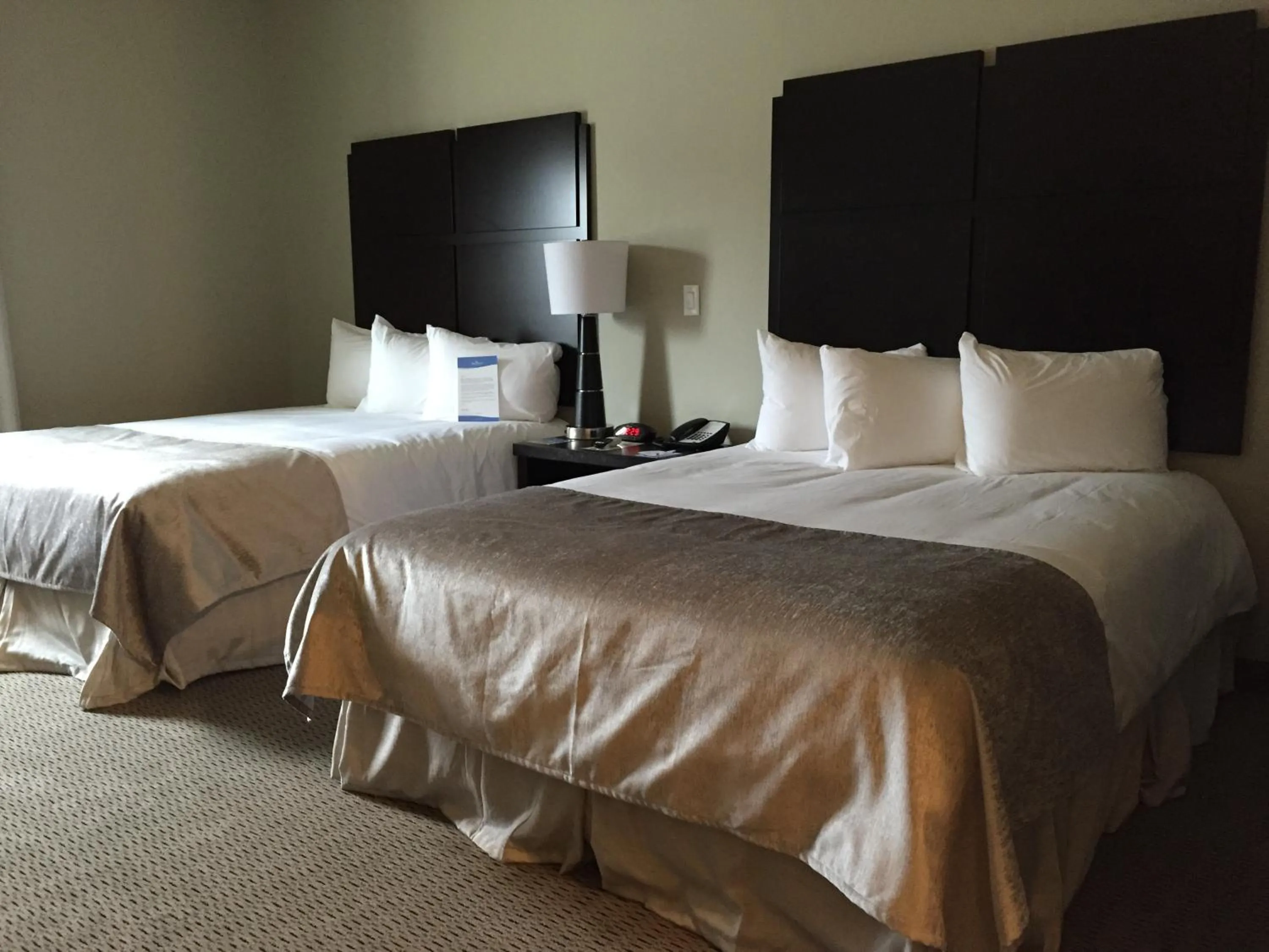 Bed in Baymont by Wyndham College Station