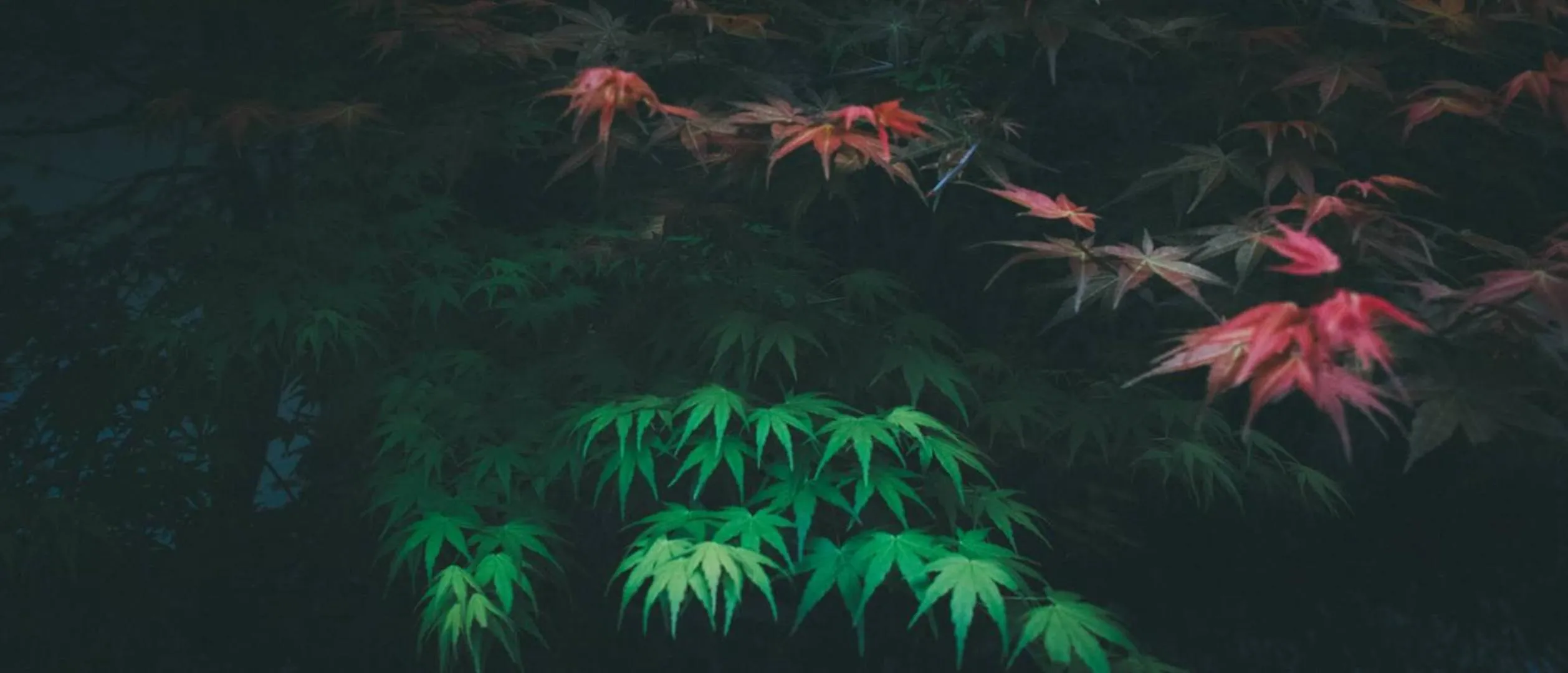 Natural landscape in Xishang Yunjian Holiday Hotel