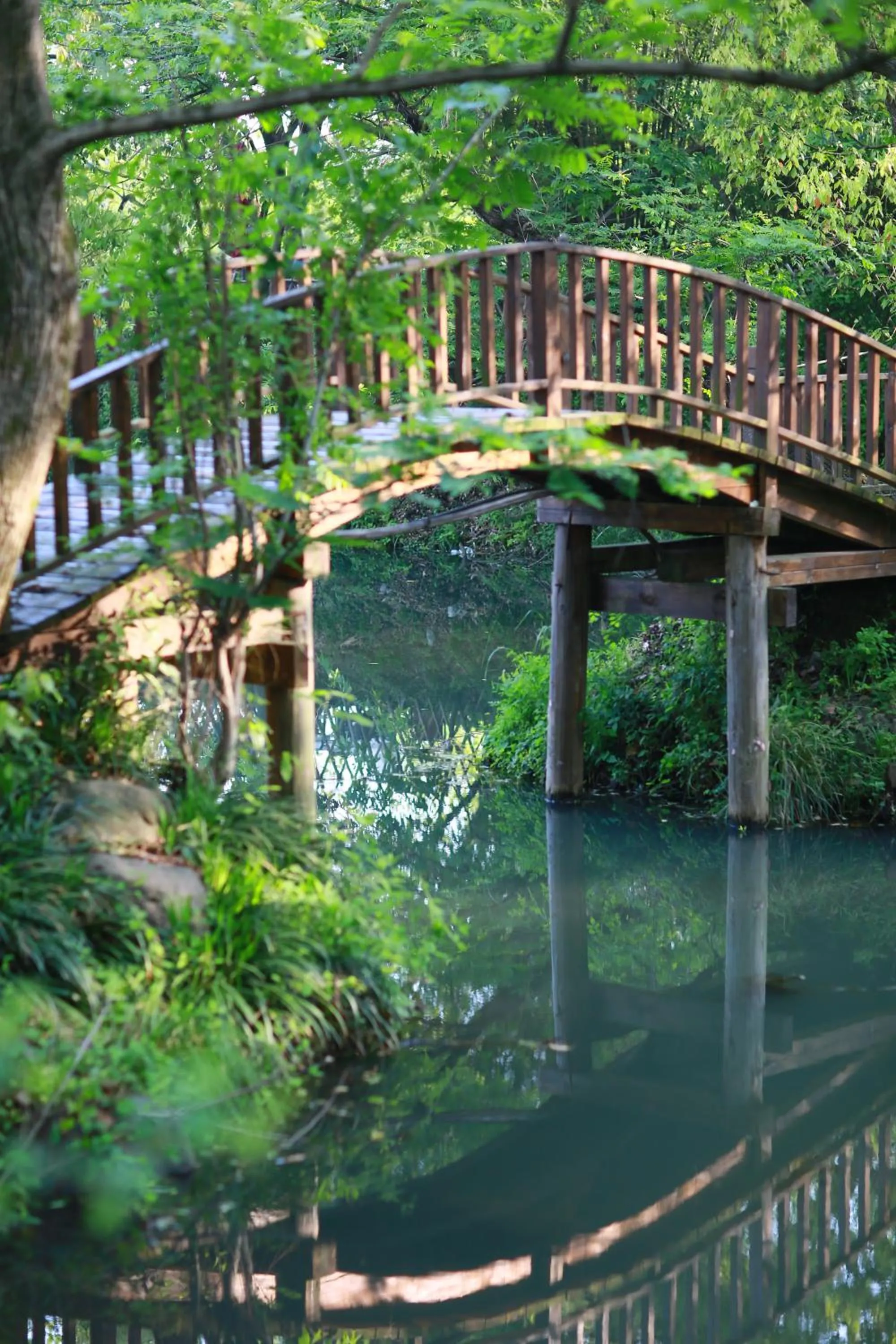 Natural landscape in Xishang Yunjian Holiday Hotel