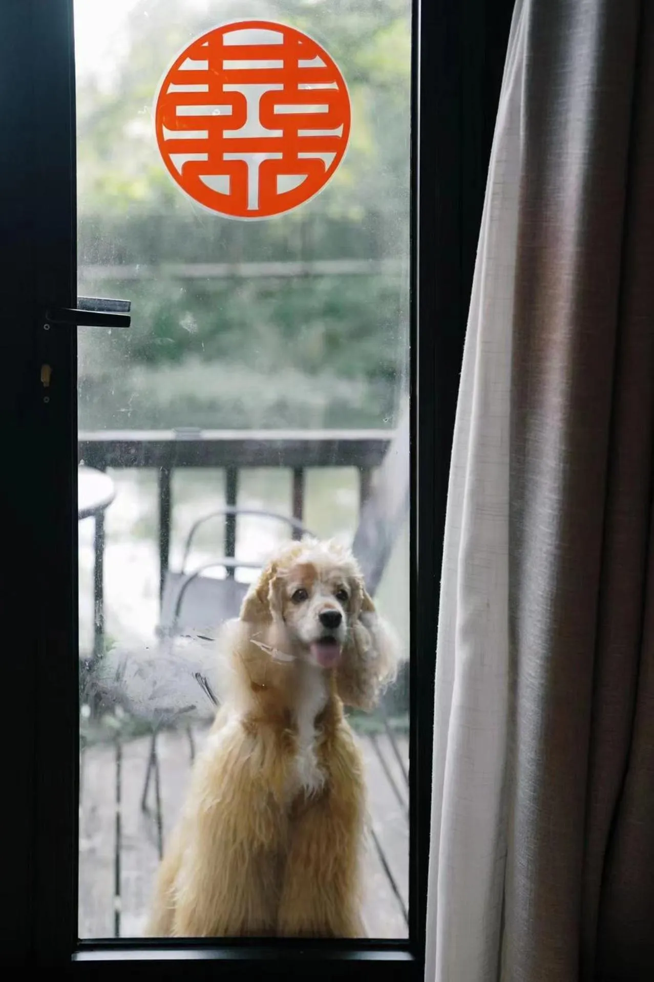 Pets in Xishang Yunjian Holiday Hotel