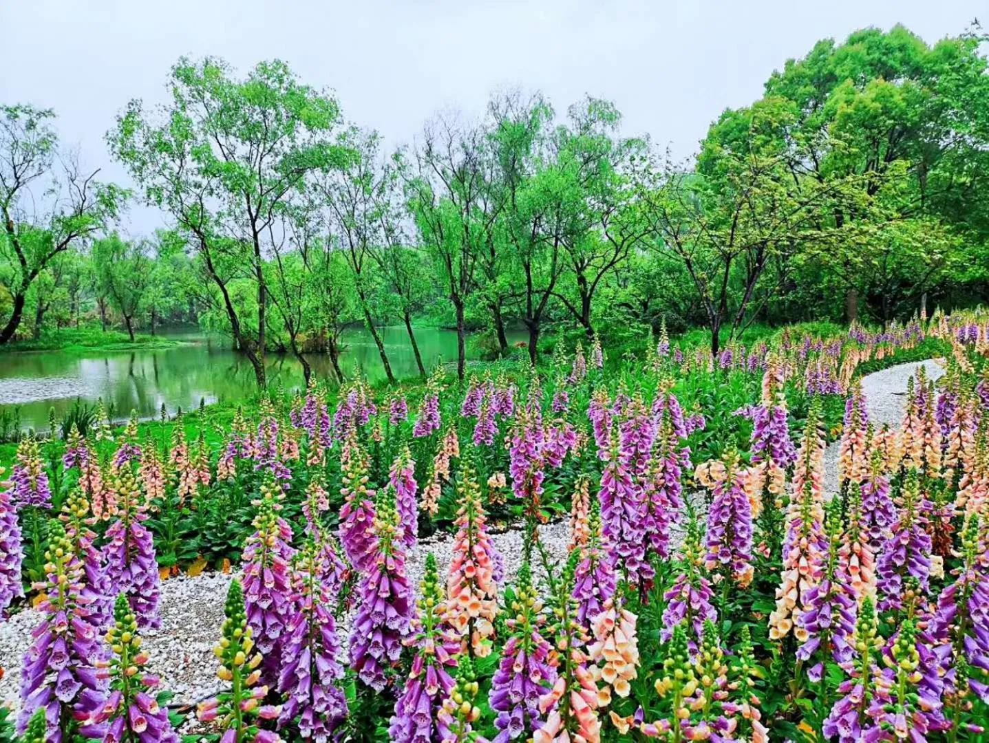 Garden view in Xishang Yunjian Holiday Hotel