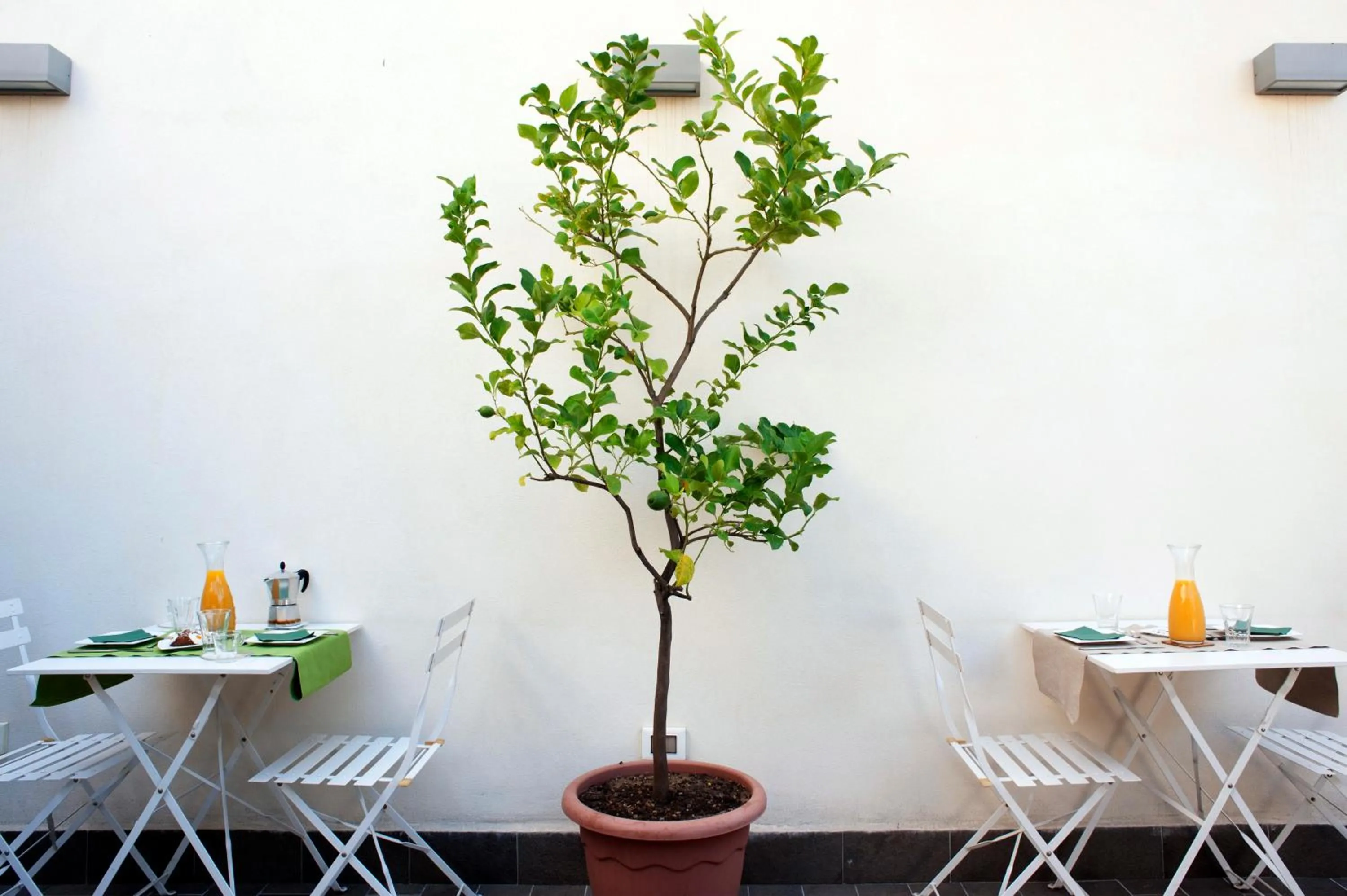 Balcony/Terrace in B&B Cannoli