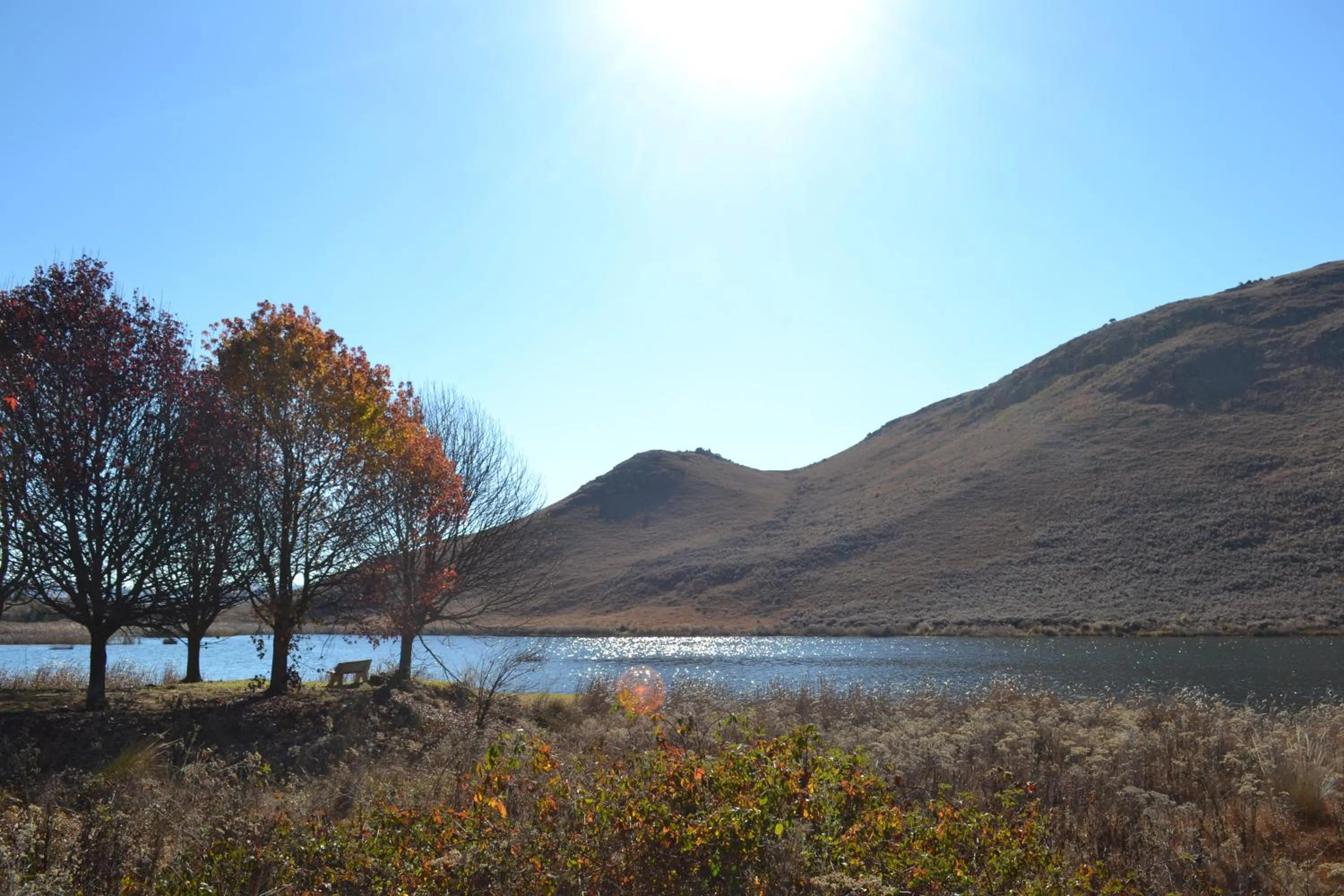 Natural landscape in Fox & Squirrel