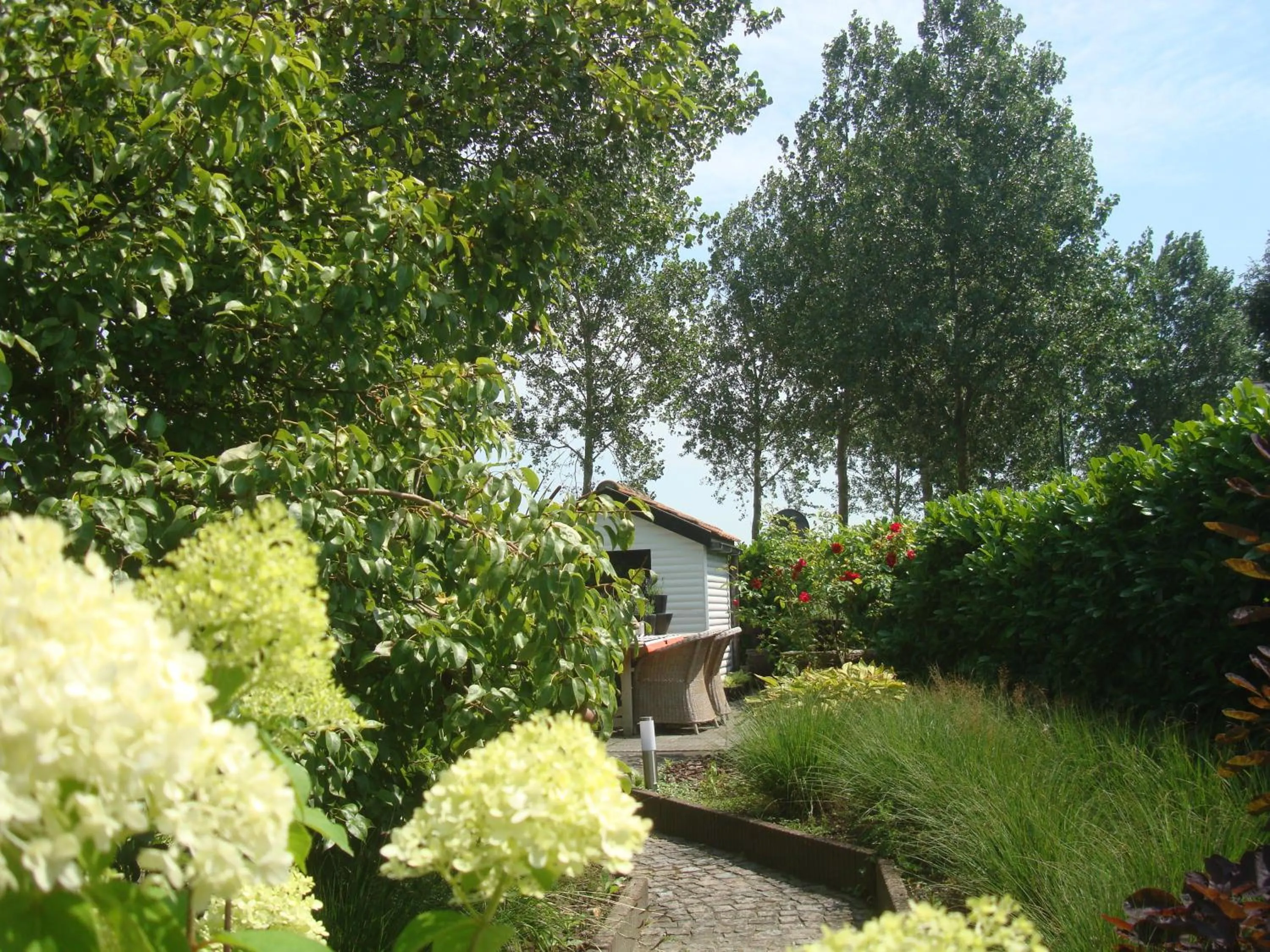 Garden in B&B Patrijzenhoek