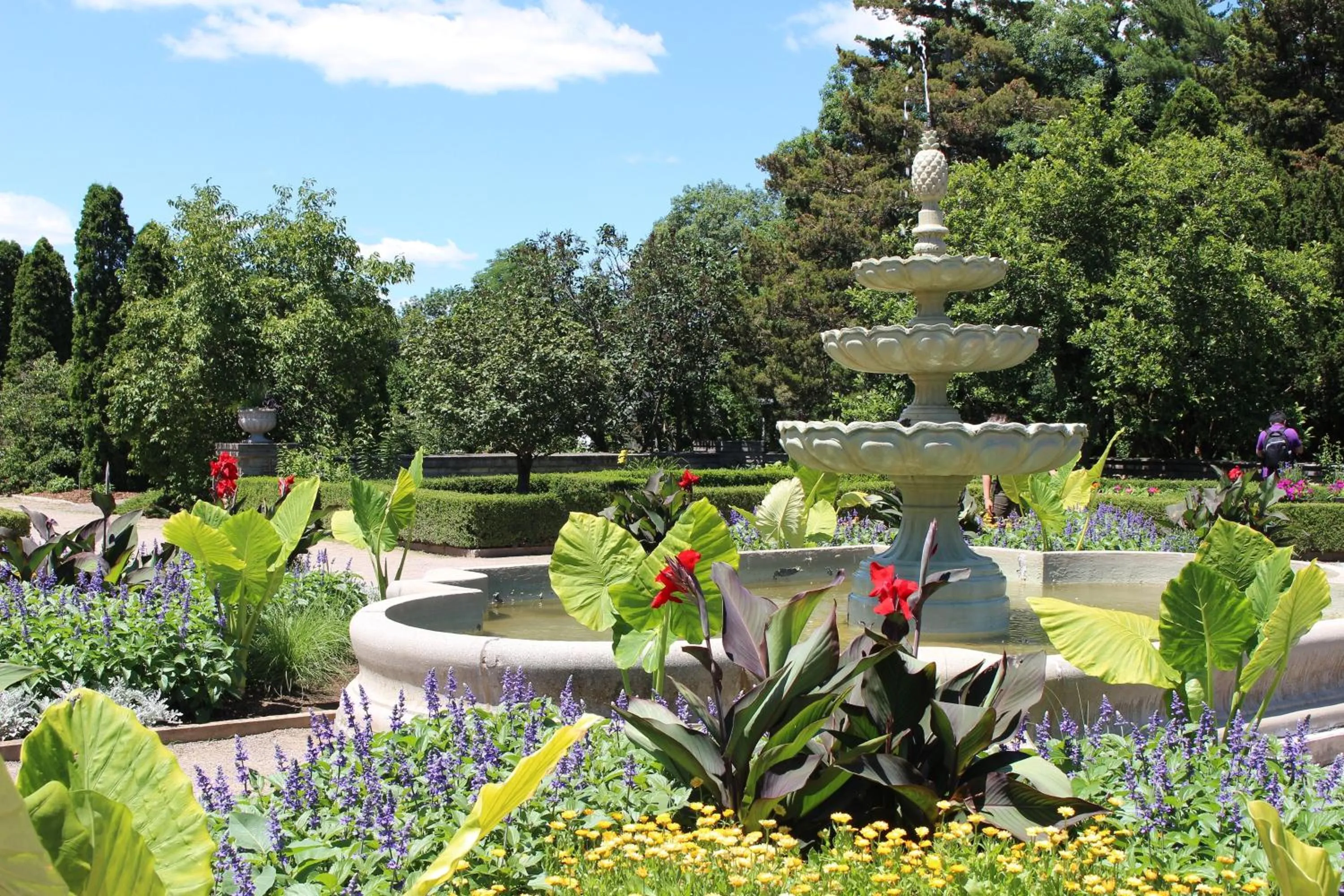 Area and facilities in Holiday Inn Express Hamilton - Upper James by IHG