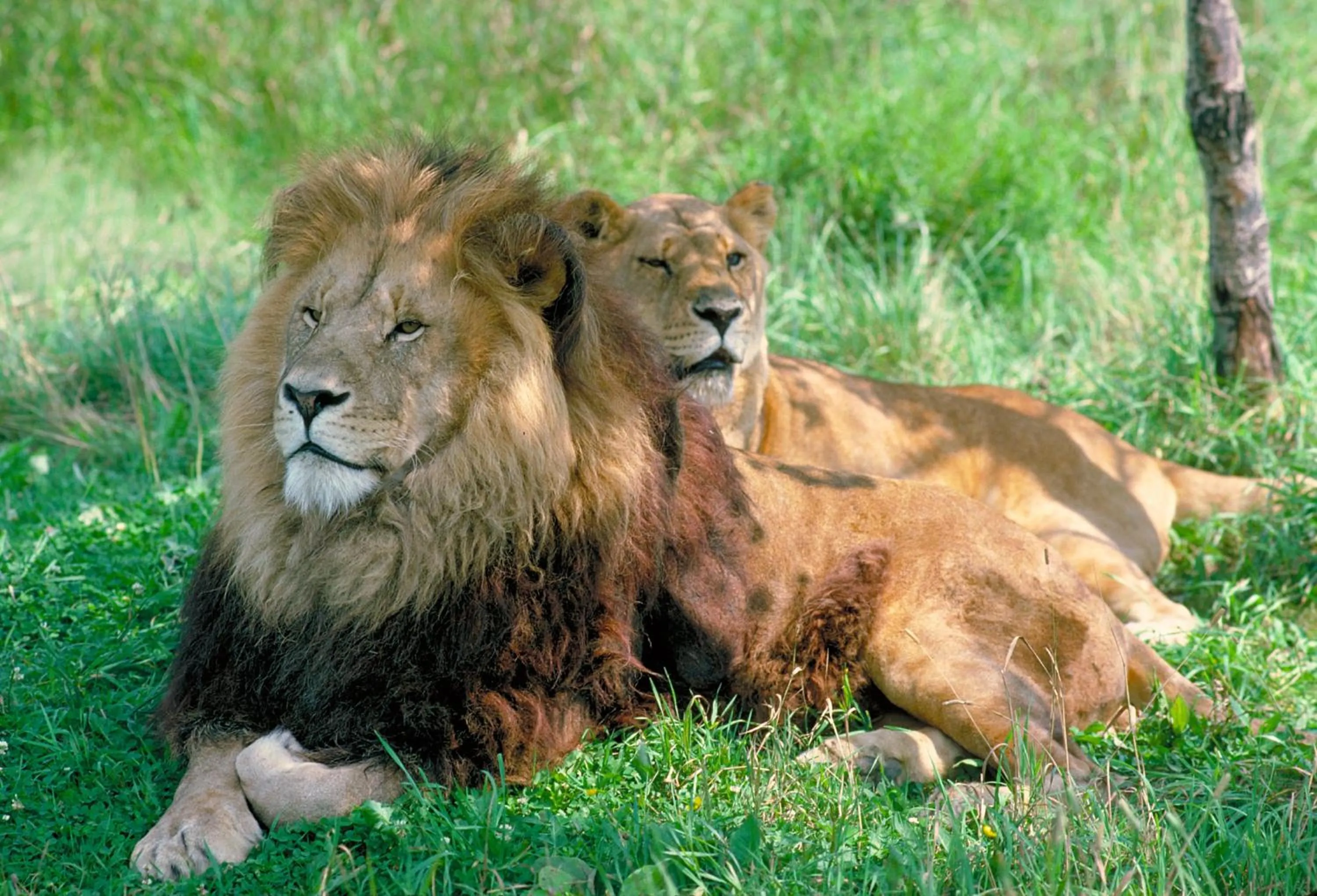 Area and facilities in Holiday Inn Express Hamilton - Upper James by IHG